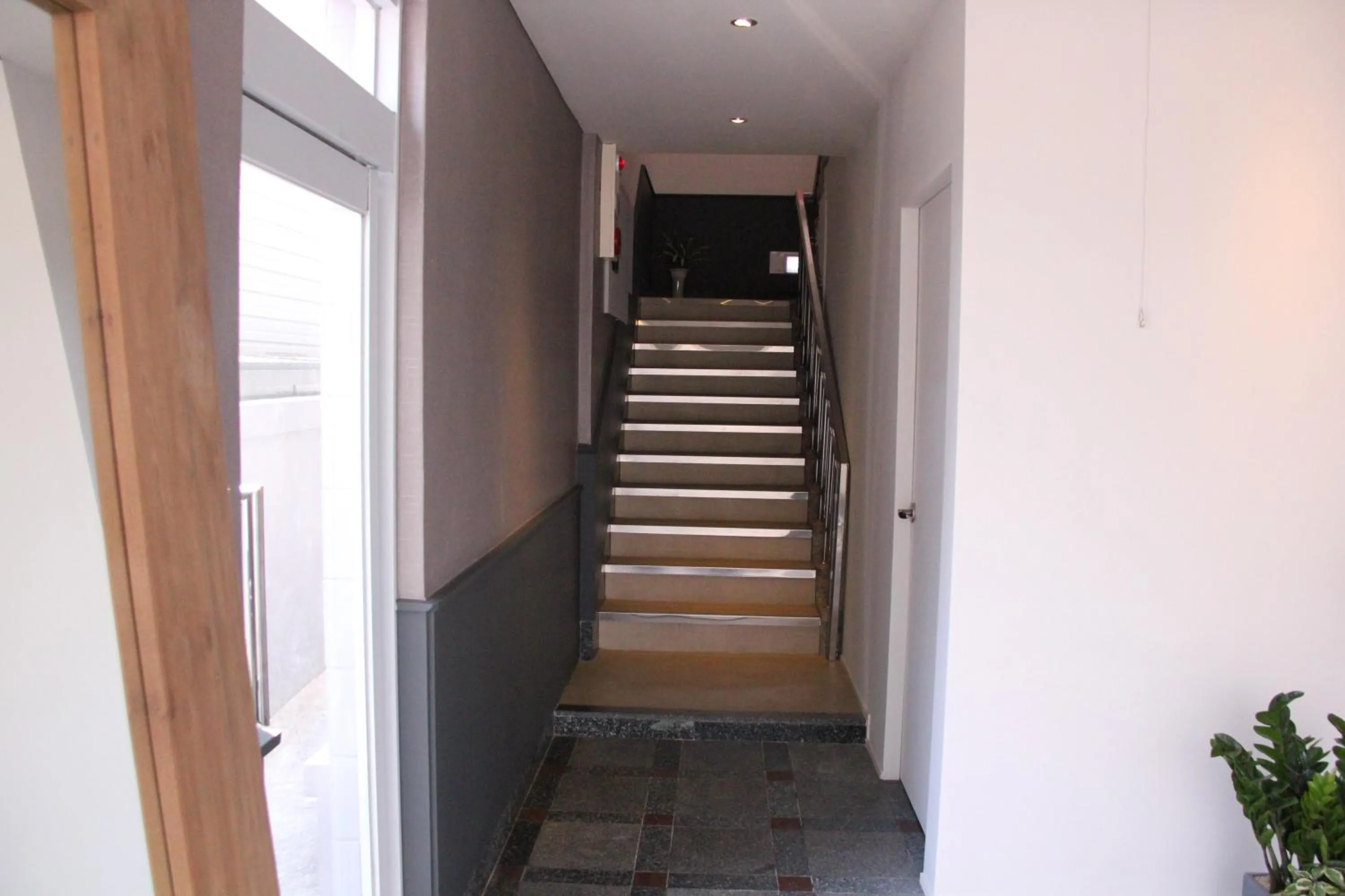 Area and facilities in Wood House Hotel