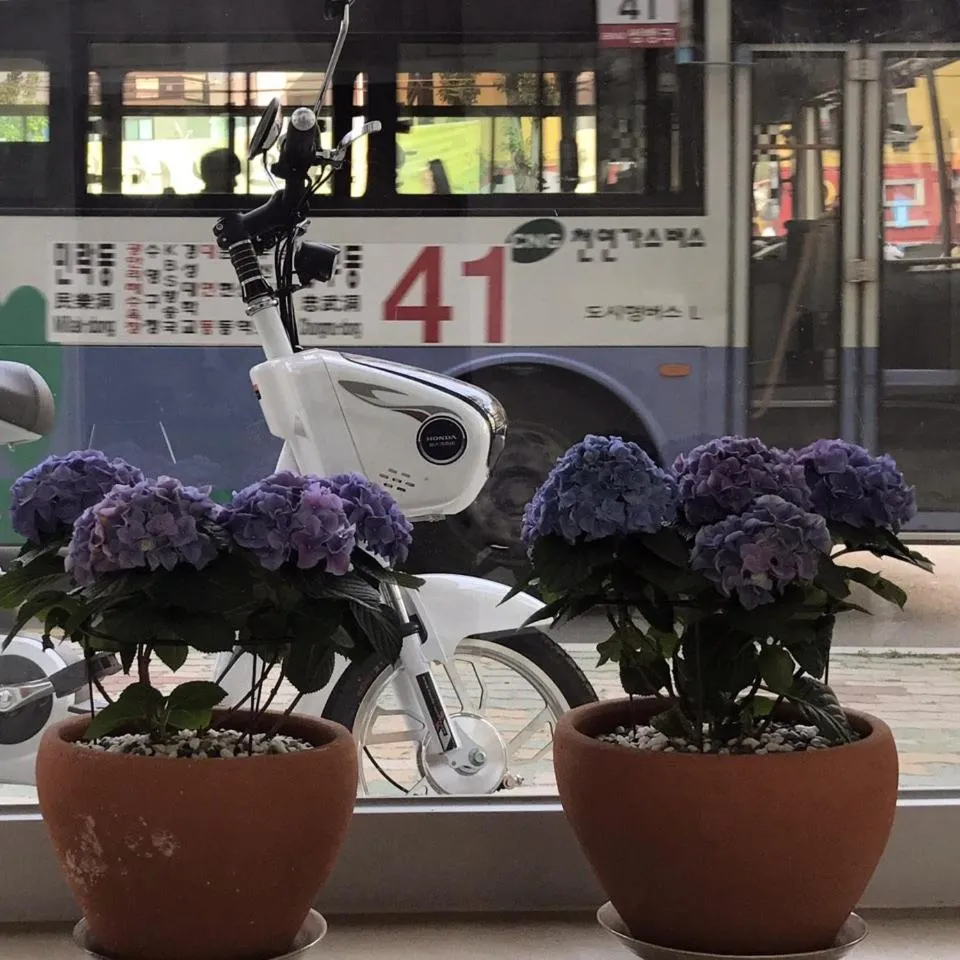 Lounge or bar in Wood House Hotel