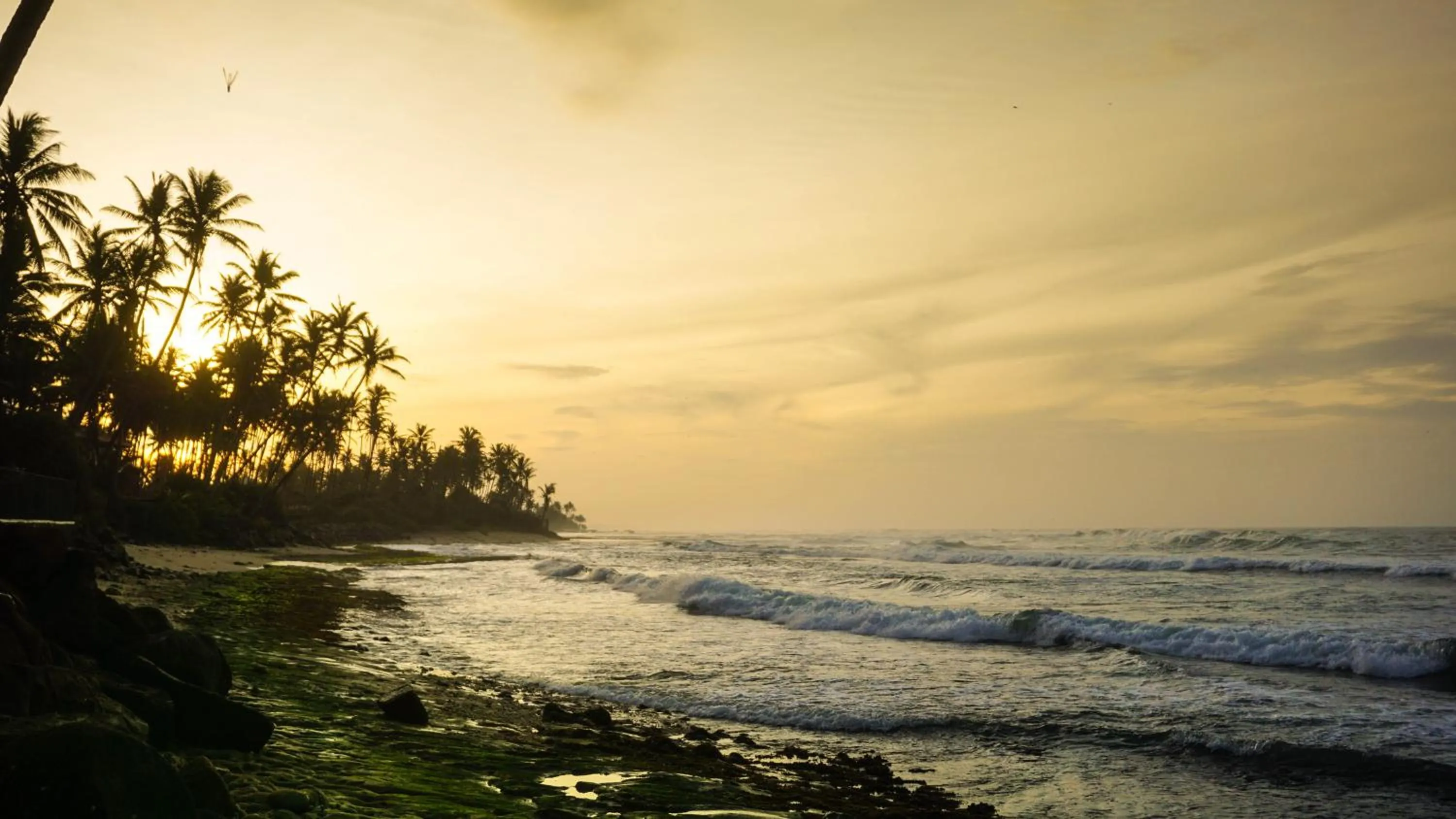 Beach in Villa Océane