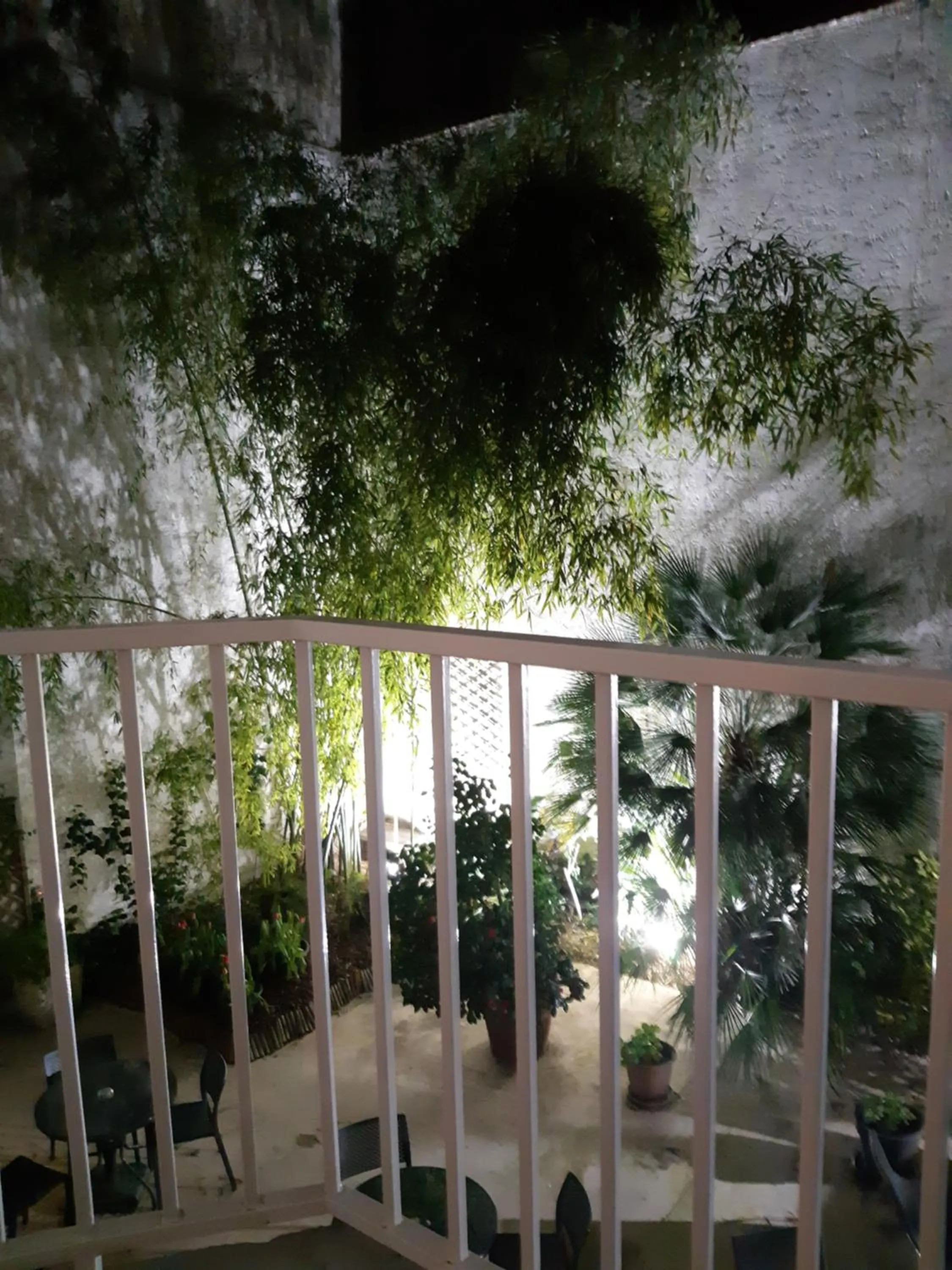 Patio in Hôtel Orchidée