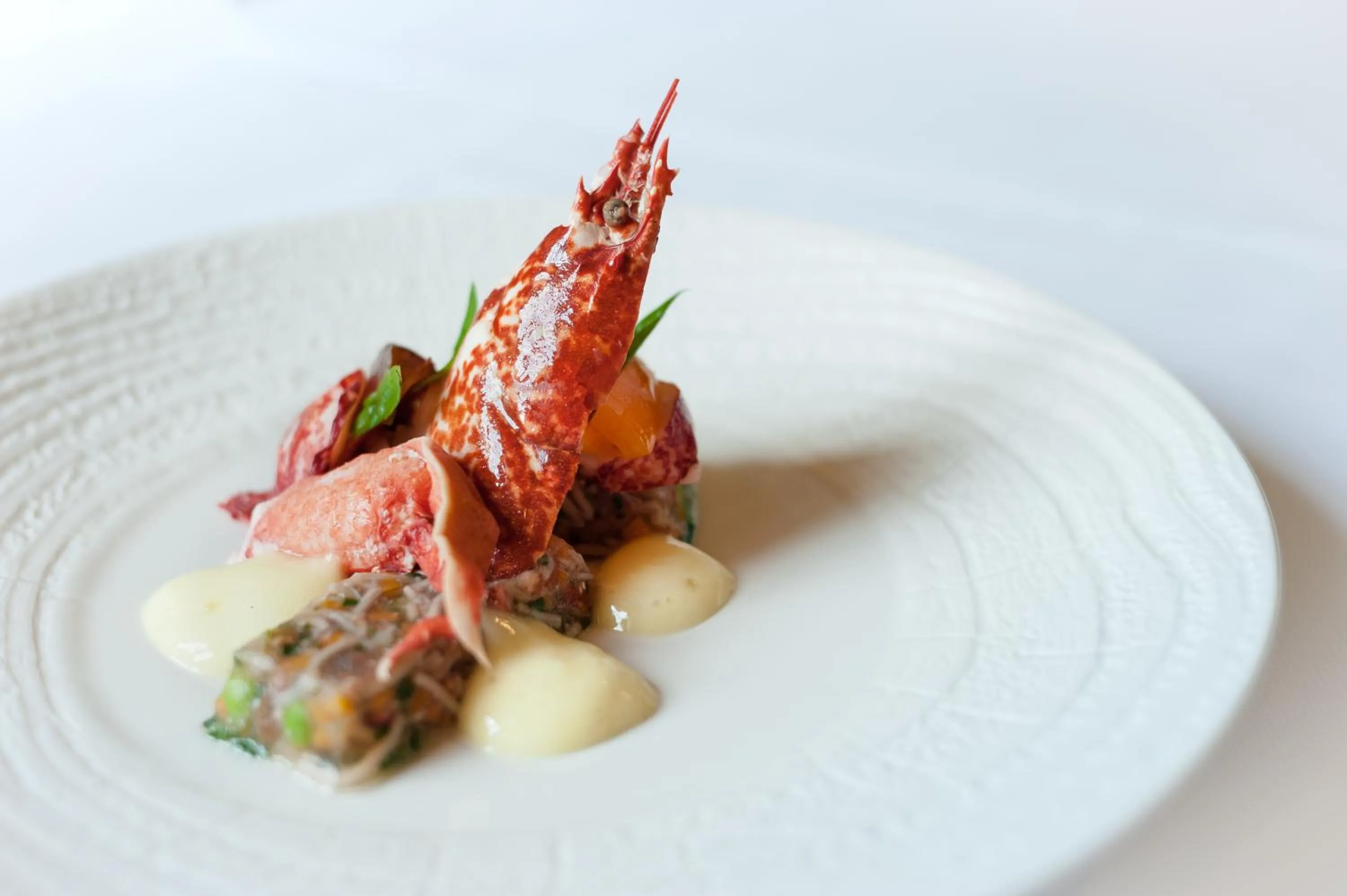 Restaurant/places to eat in Château de Saulon