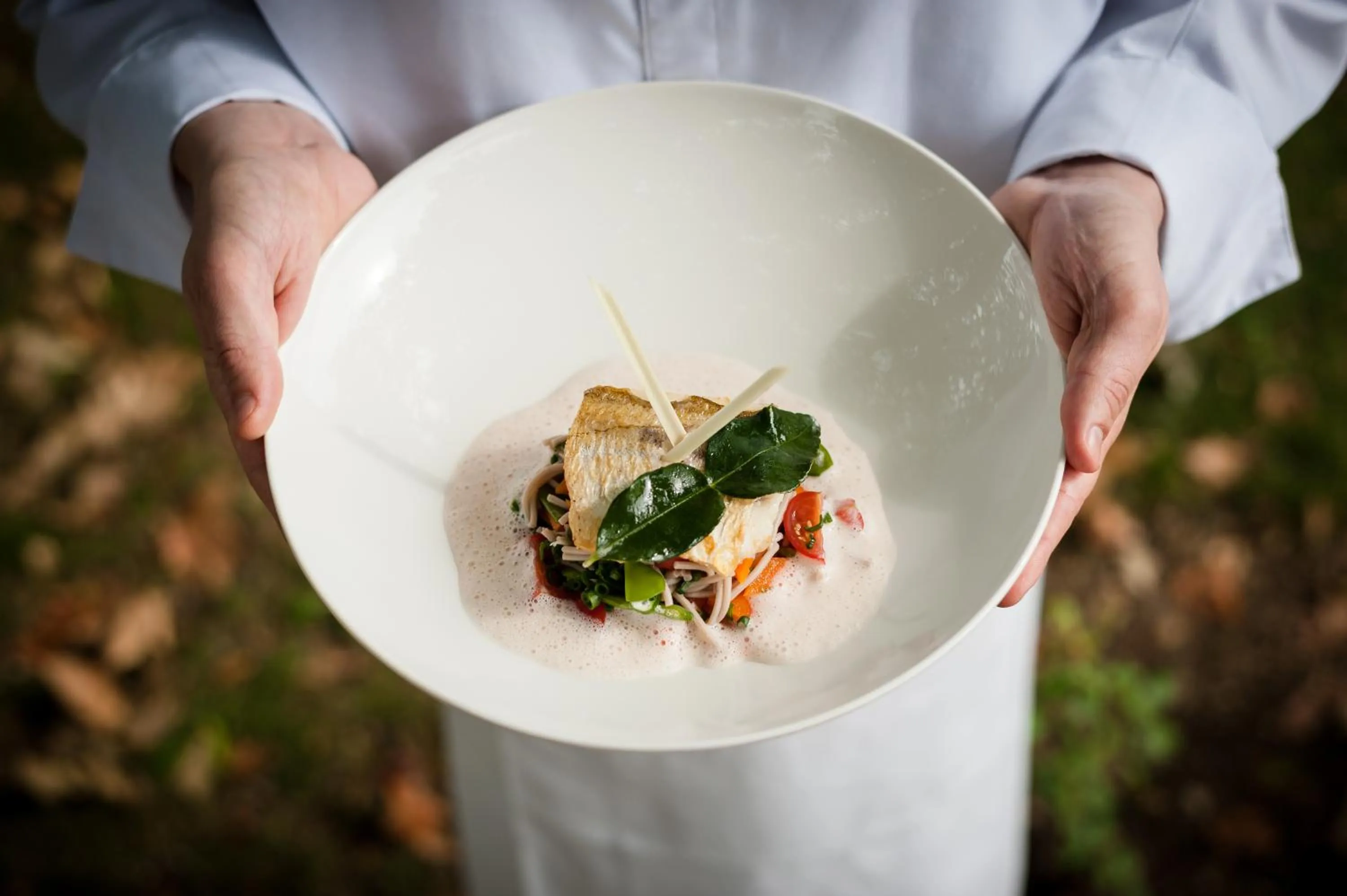 Restaurant/places to eat in Château de Saulon