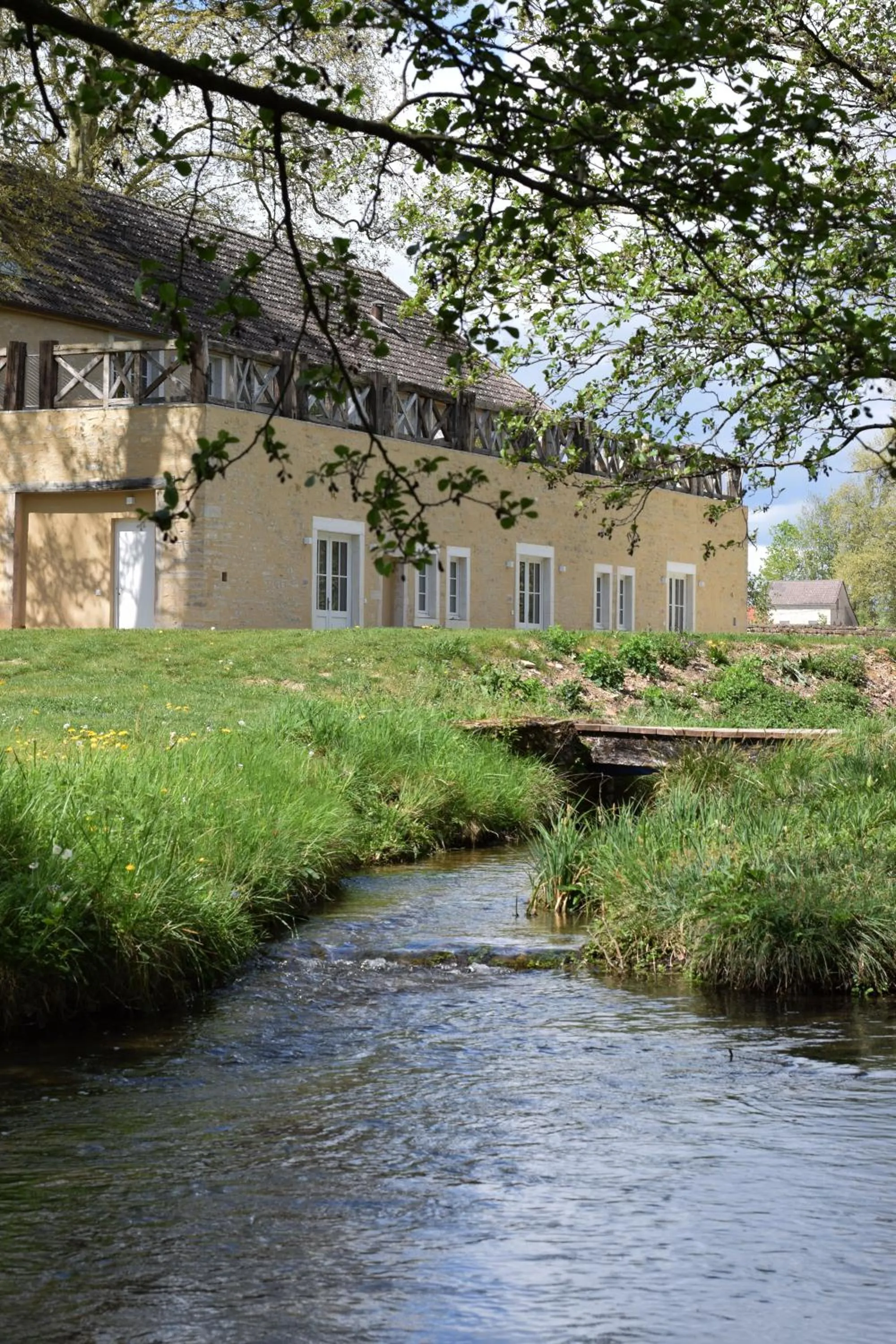Natural landscape in Château de Saulon
