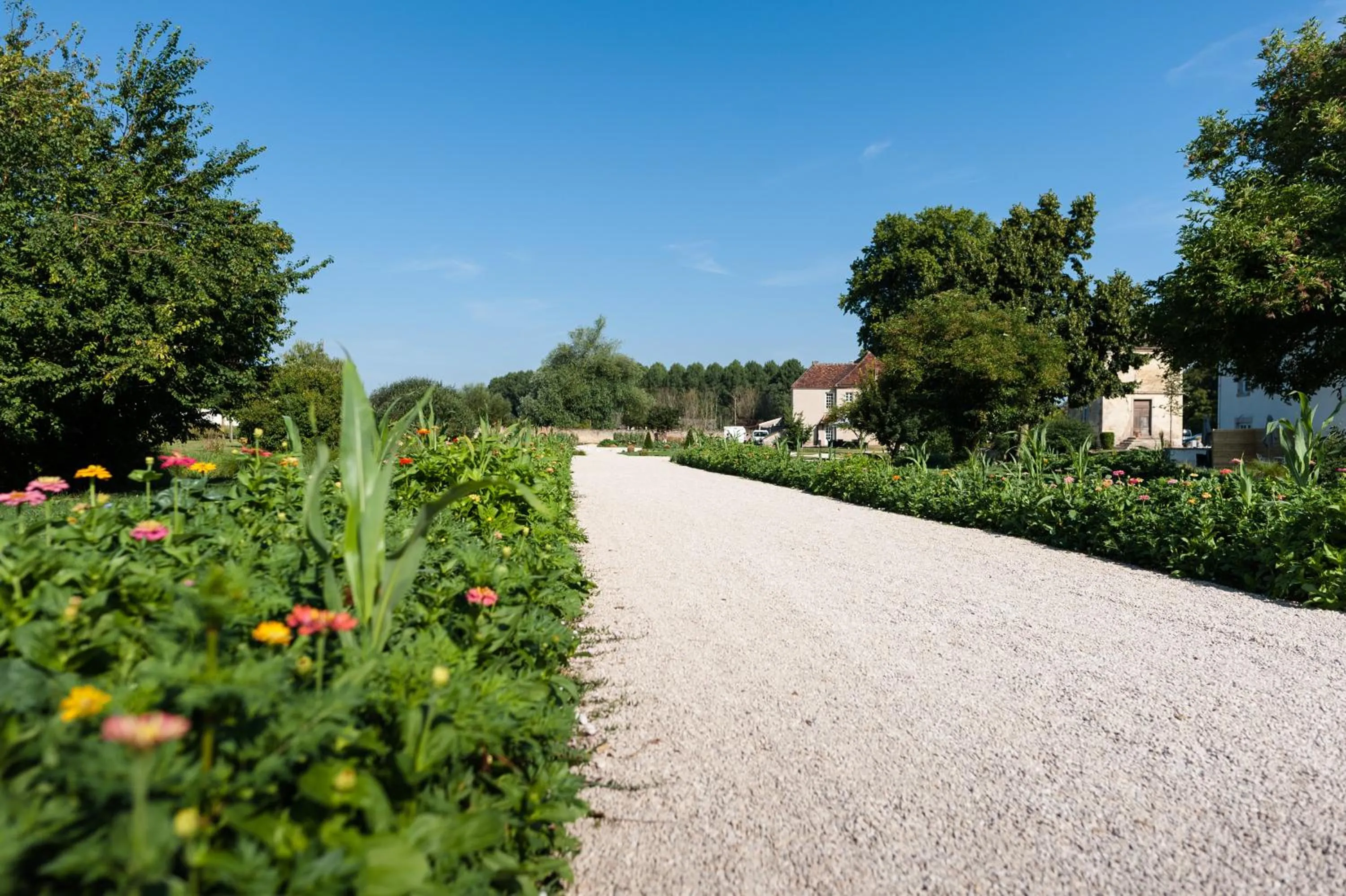 Garden in Château de Saulon