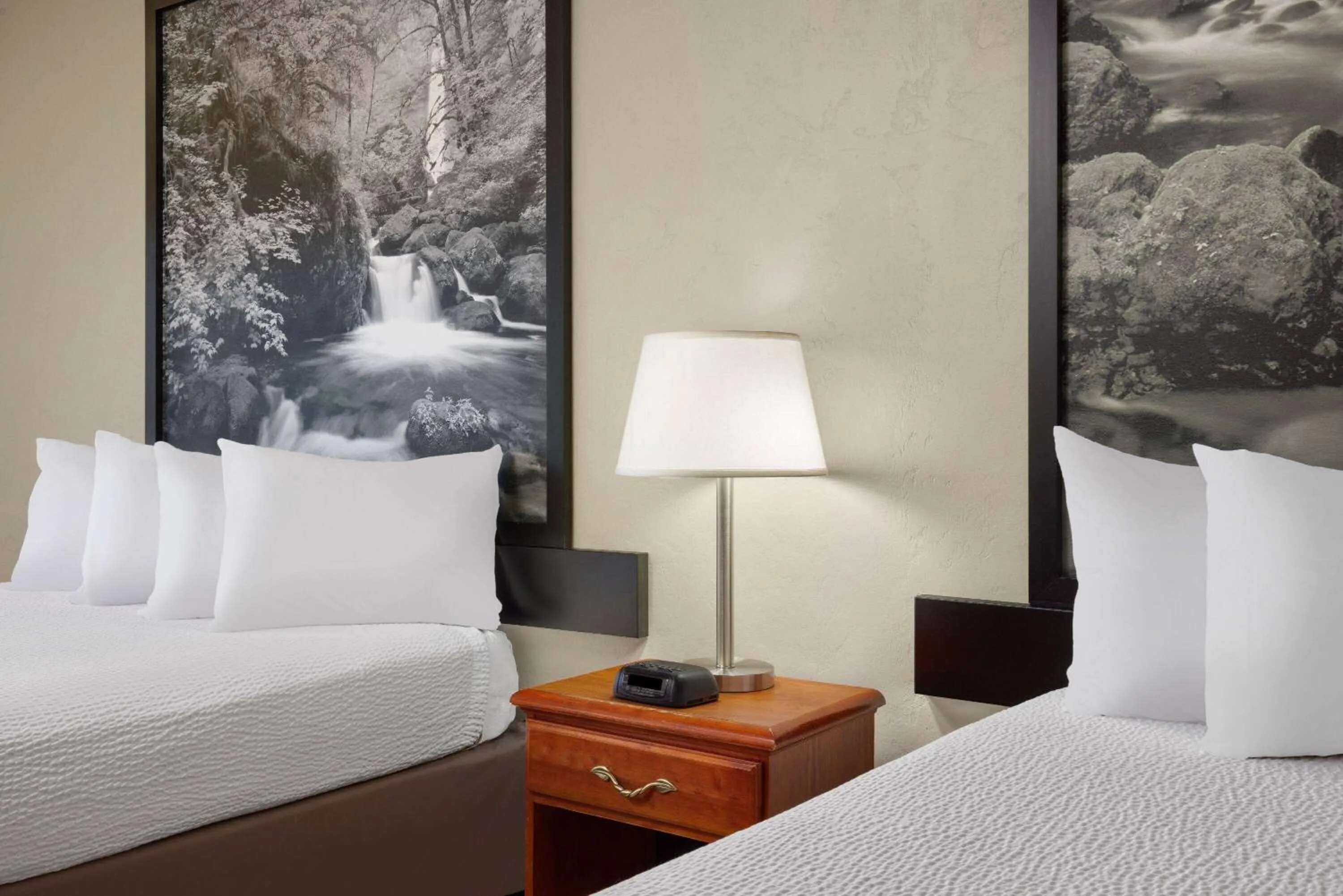 Photo of the whole room, Bed in Super 8 by Wyndham Roseburg