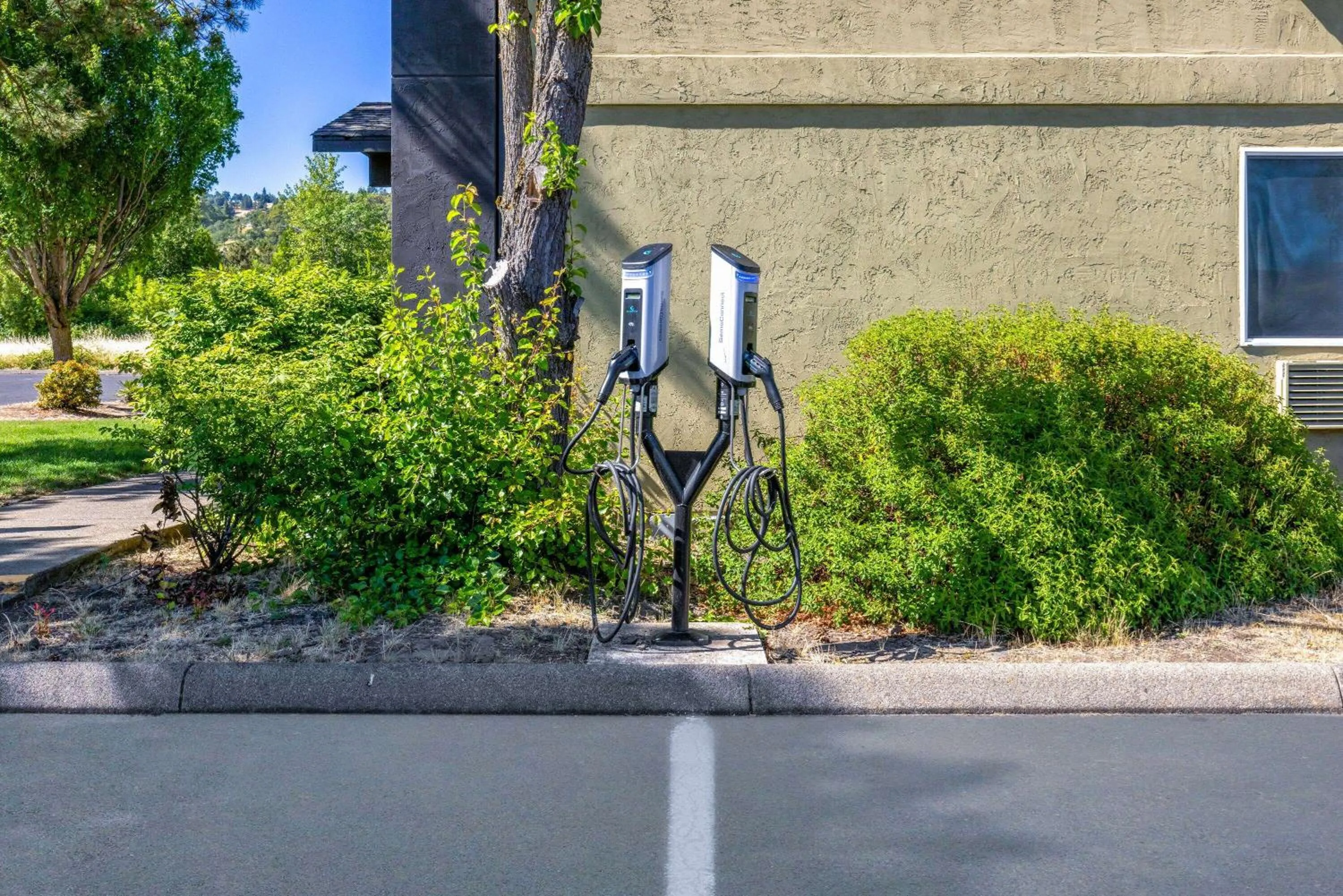 Property building in Super 8 by Wyndham Roseburg