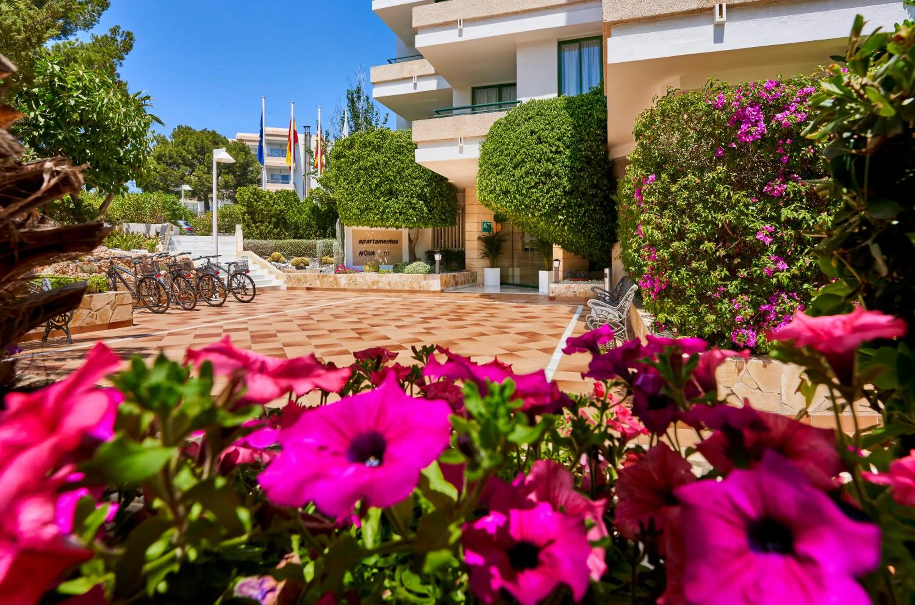 Lobby or reception in Globales Nova