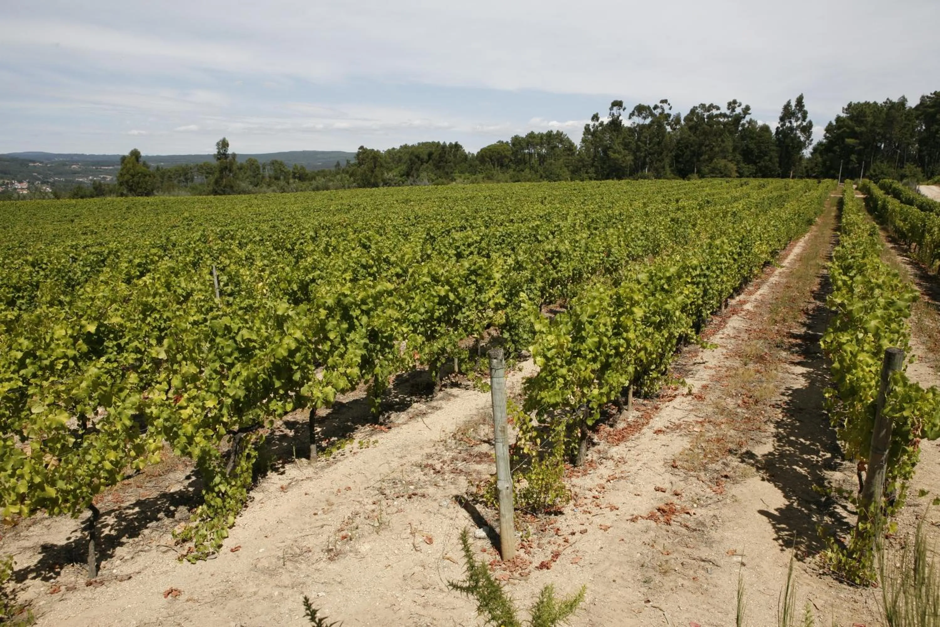 Area and facilities in Parador Casa Da Insua