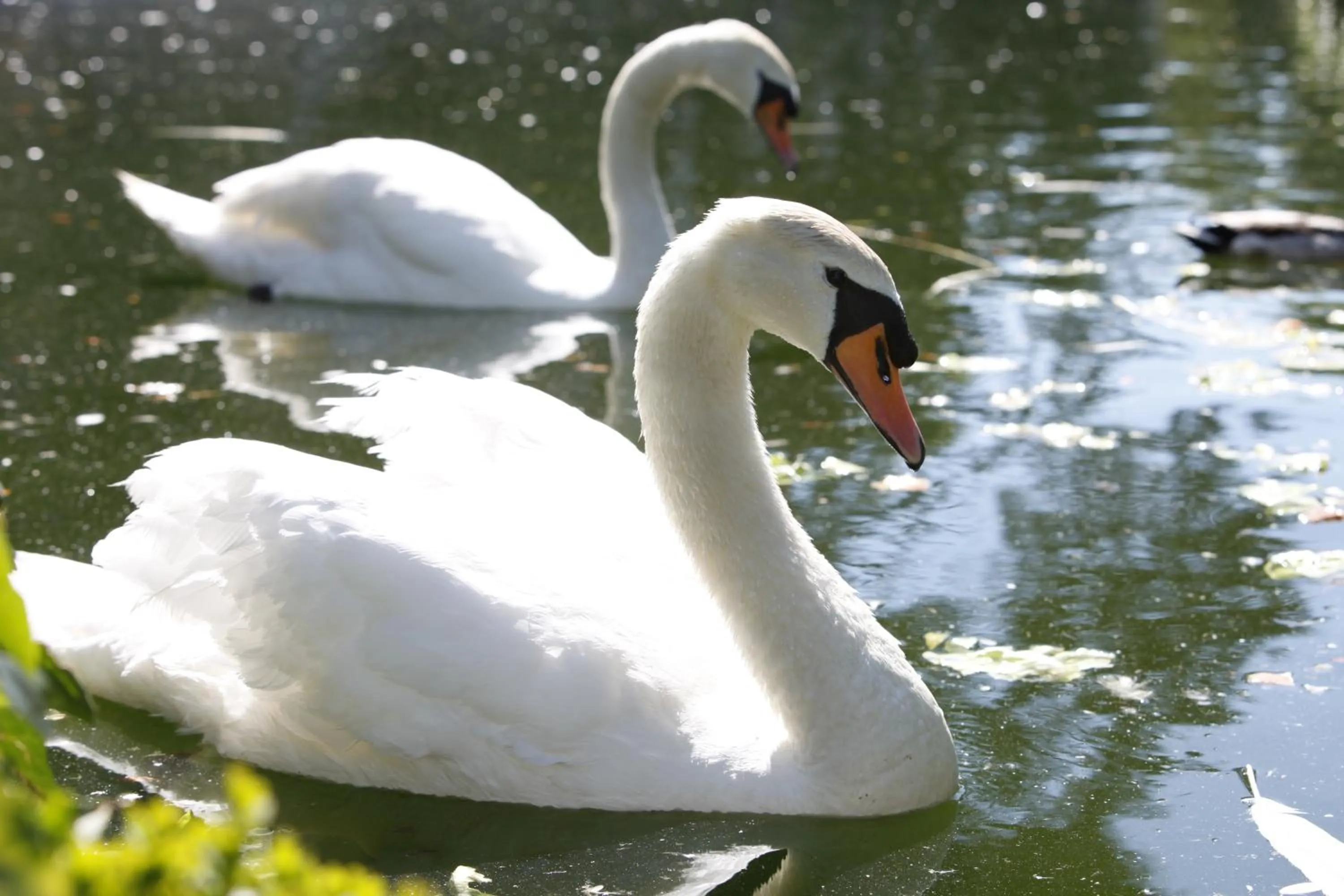 Other in Parador Casa Da Insua