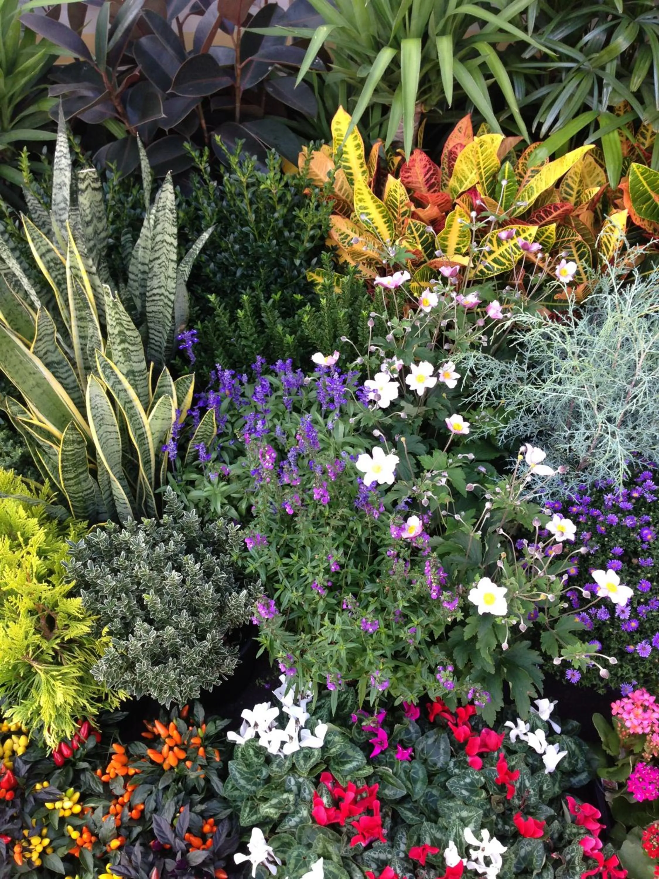 Spring in B&B Il Picchio