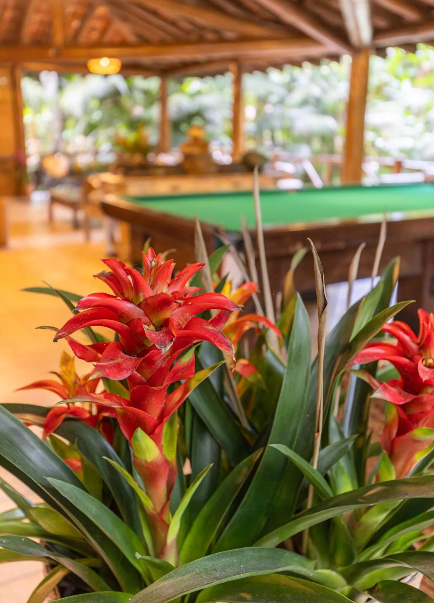 Property building in Itamambuca Eco Resort