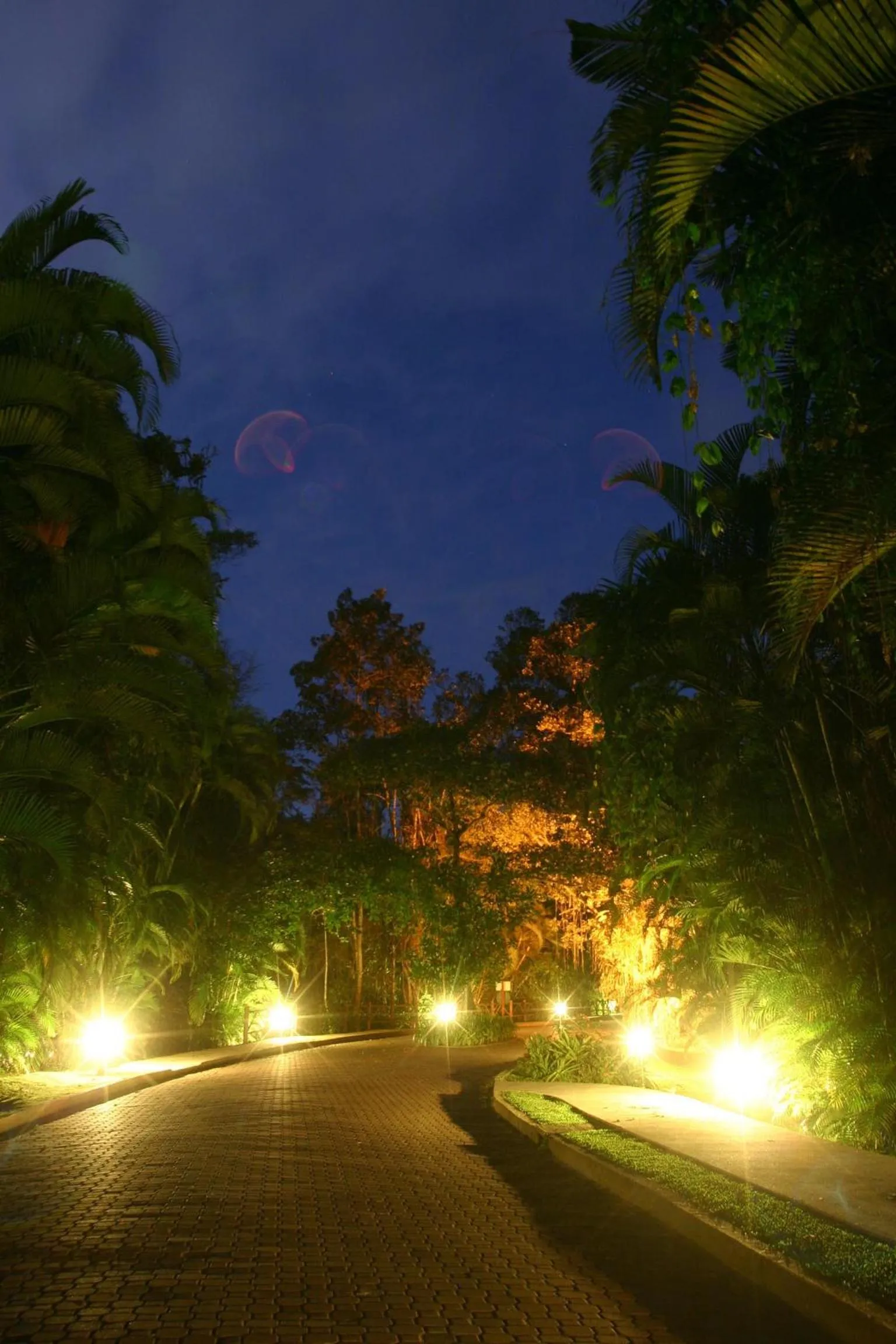 Pool view in Itamambuca Eco Resort