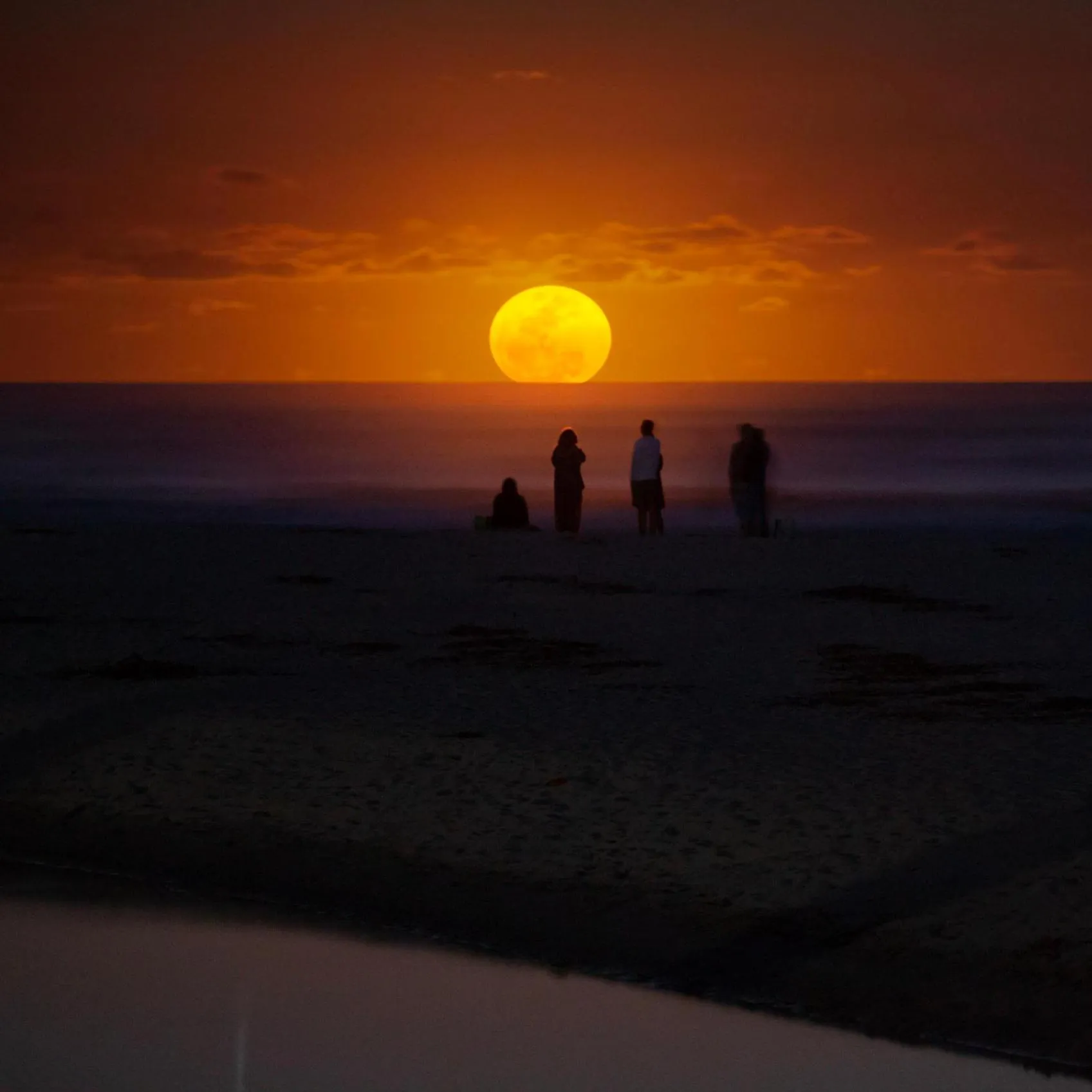 Night in Itamambuca Eco Resort