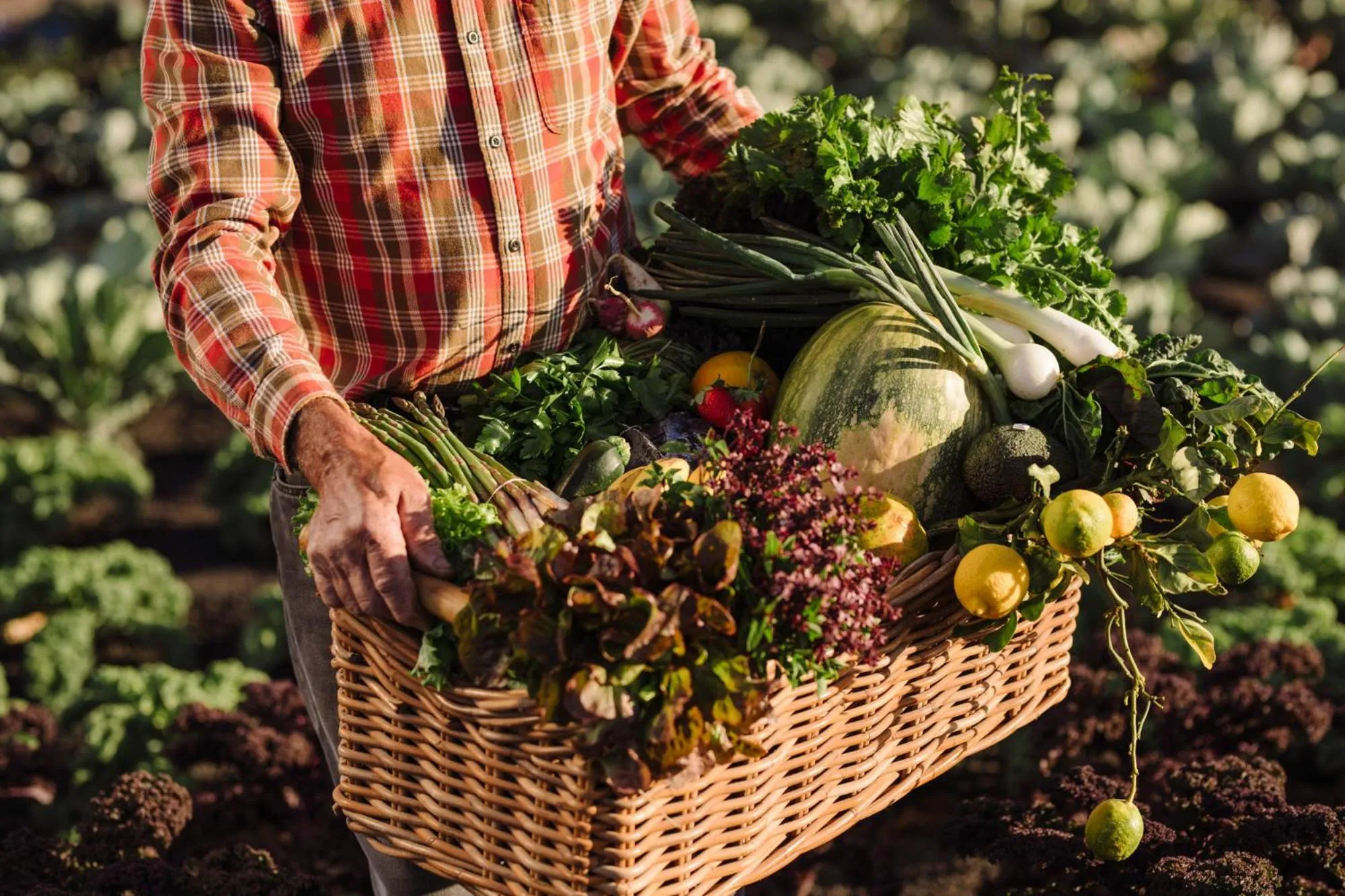 Apartamentos El Guarapo