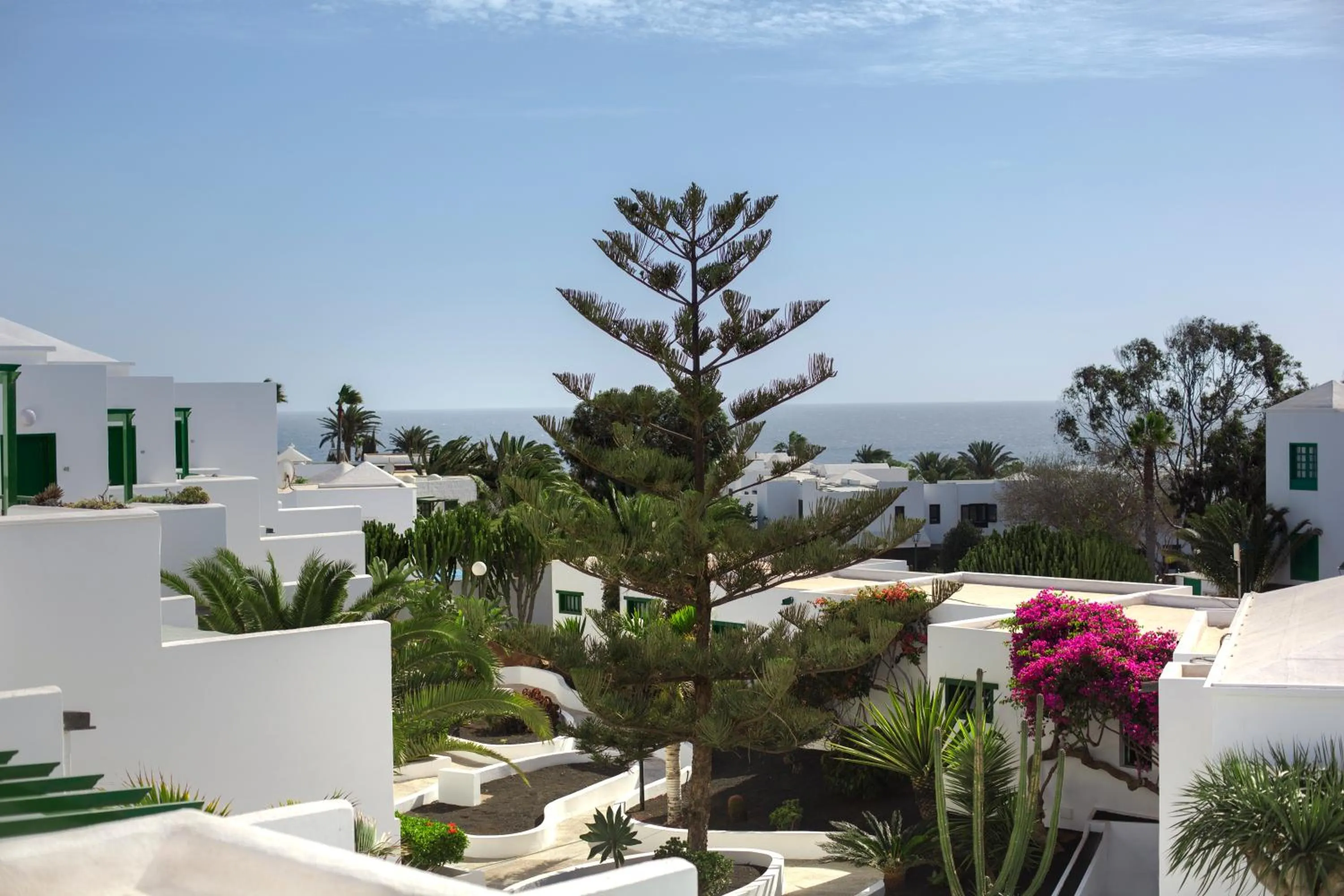 Garden in Apartamentos El Guarapo