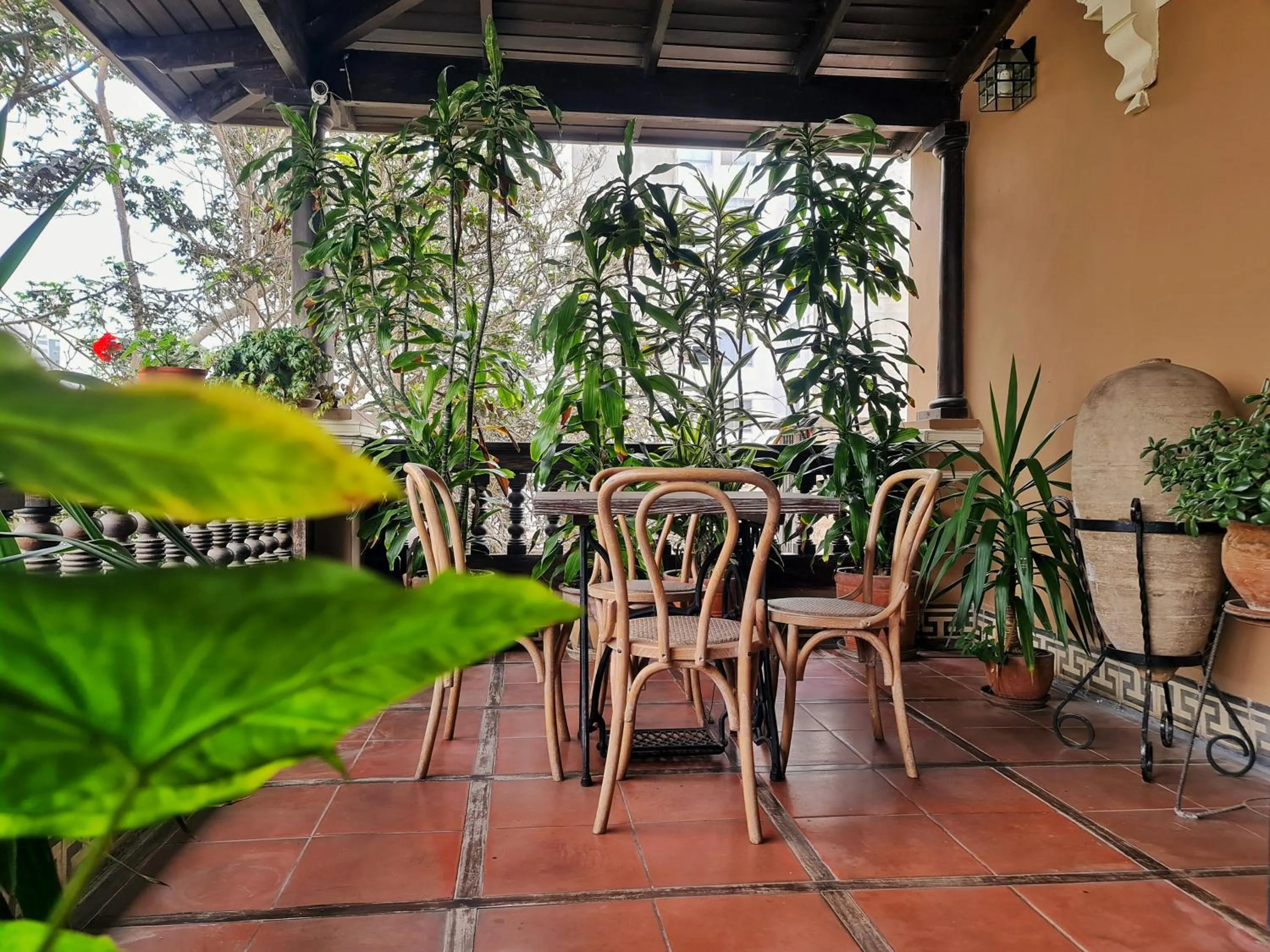 View (from property/room) in Hotel Antigua Miraflores