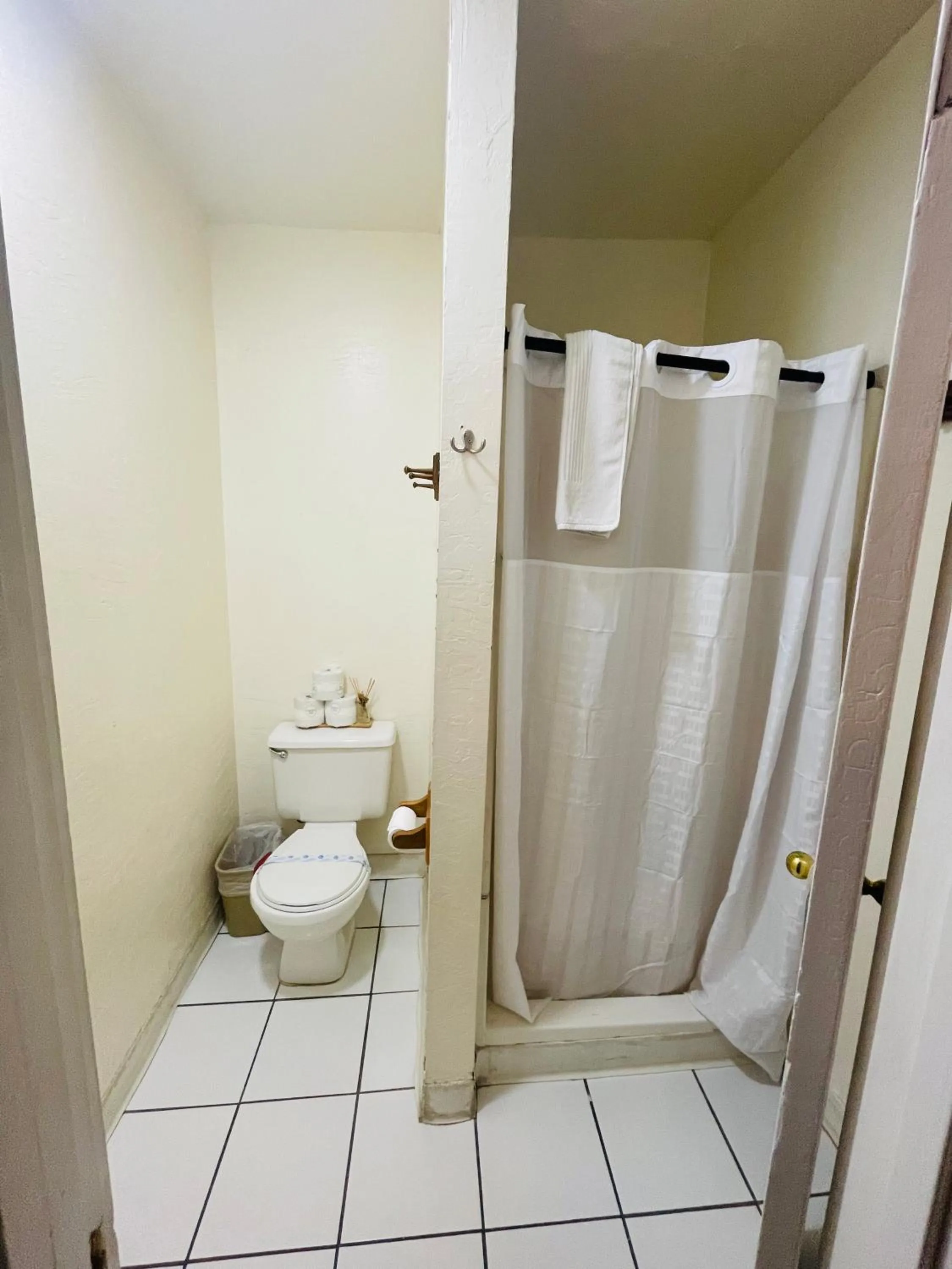 Shower in Americas Best Value Inn Royal Carriage