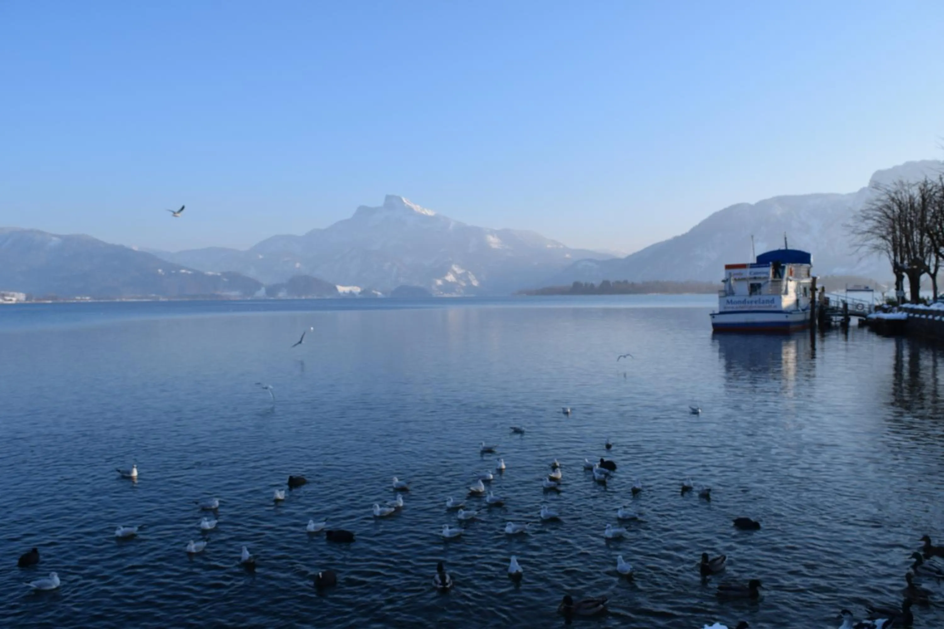 Day in Pension Irlingerhof