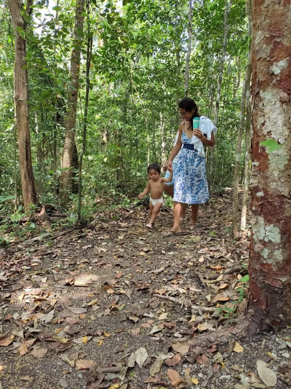 Hiking in Ecohabitat Calakmul