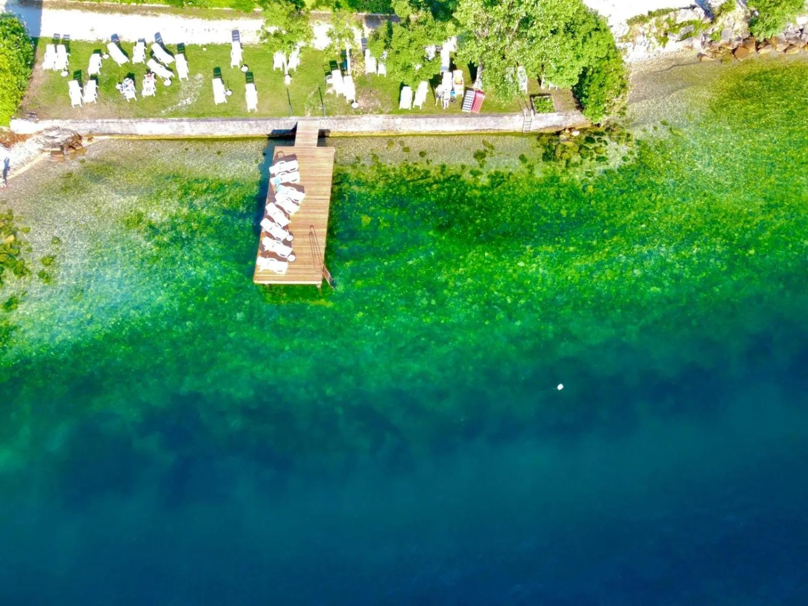 Garden view in Hotel Merano