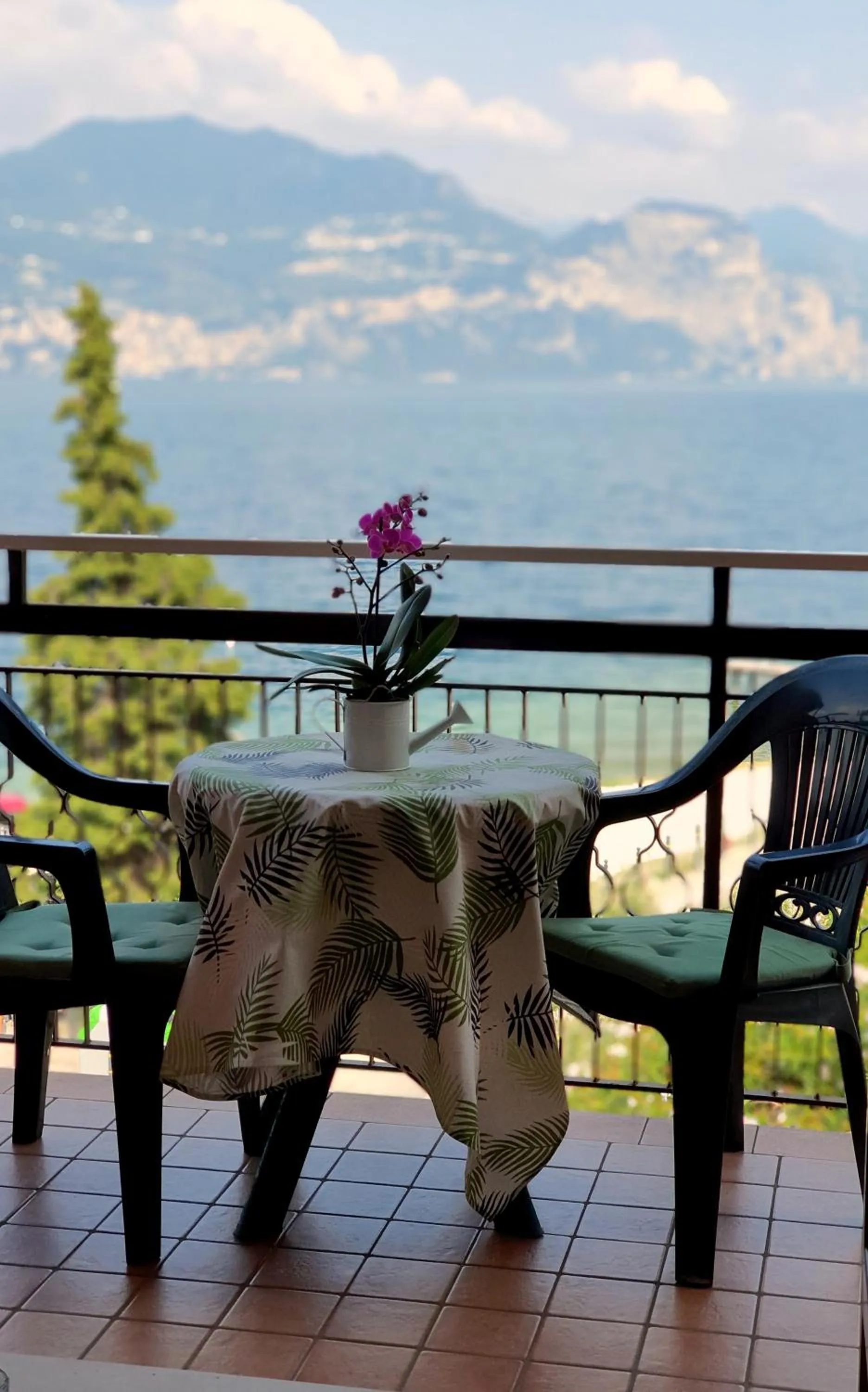 Balcony/Terrace in Hotel Merano