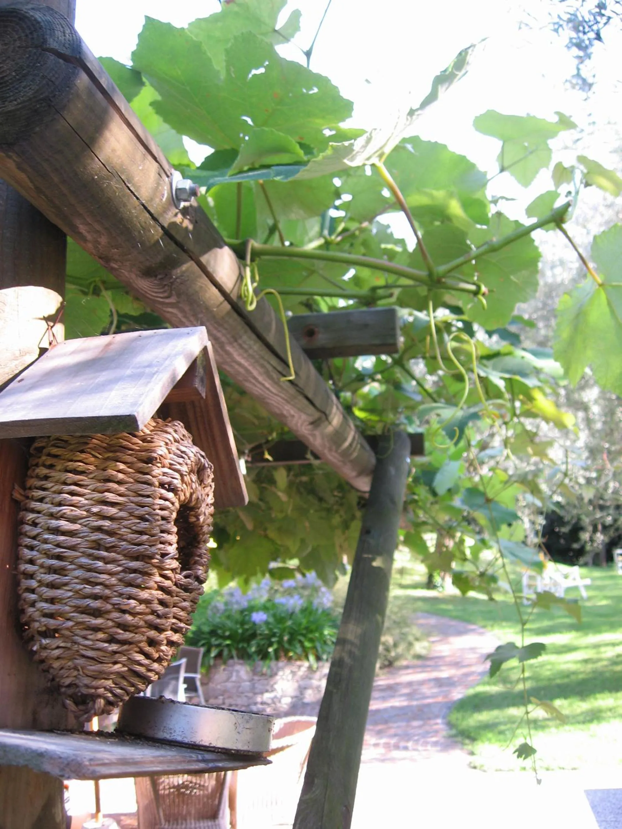 Day in Hotel Catullo