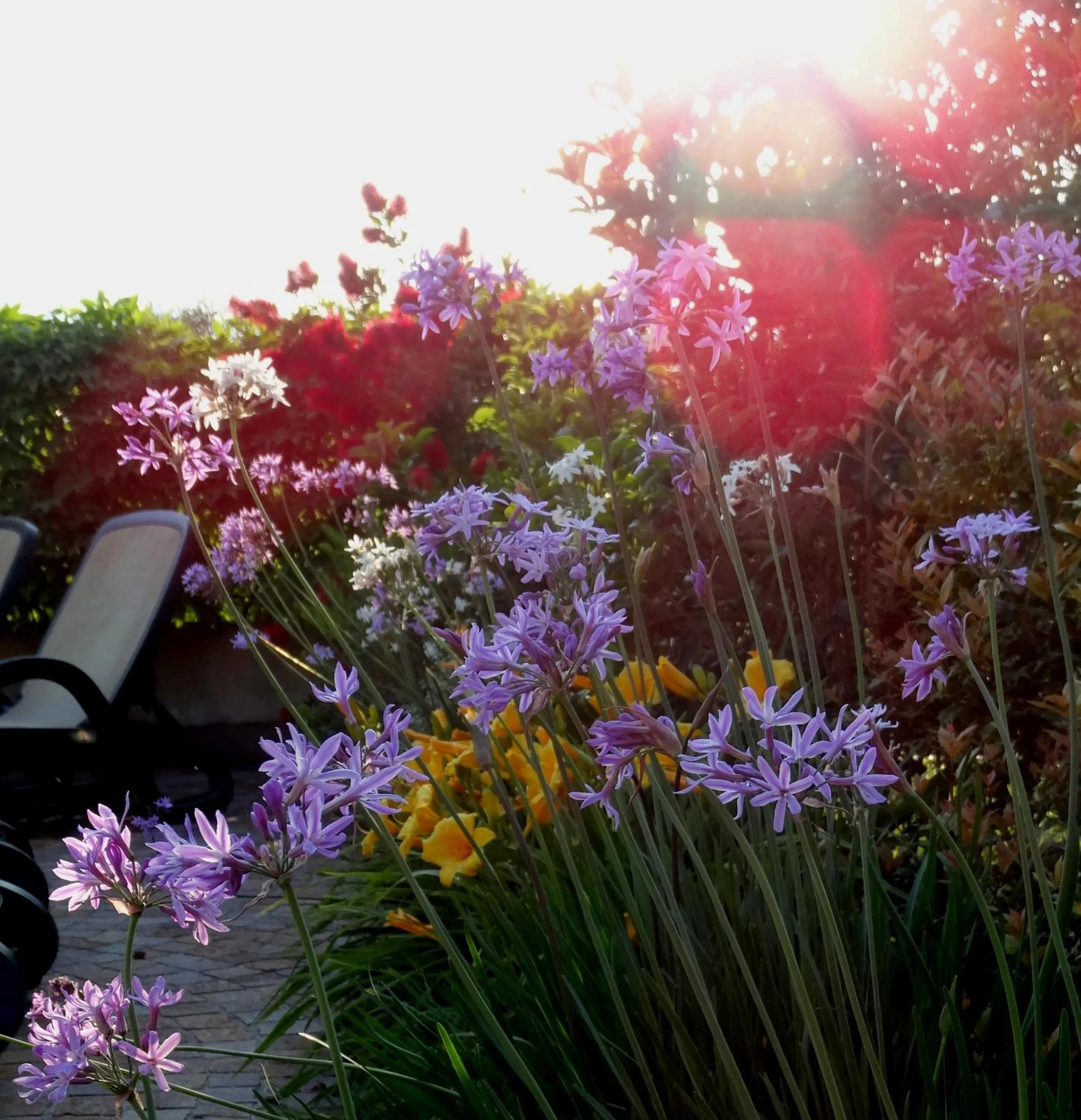 Spring in Hotel Catullo