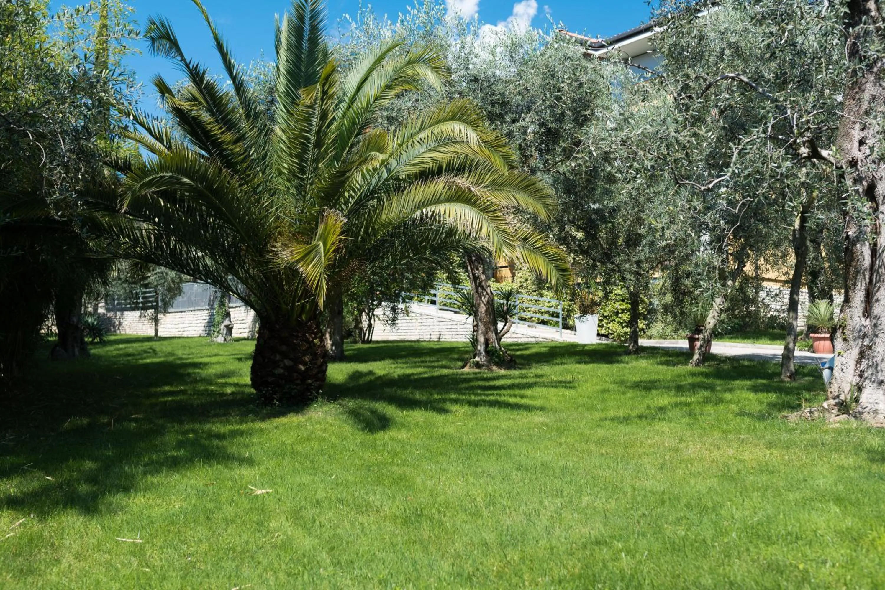 Garden in Hotel Catullo