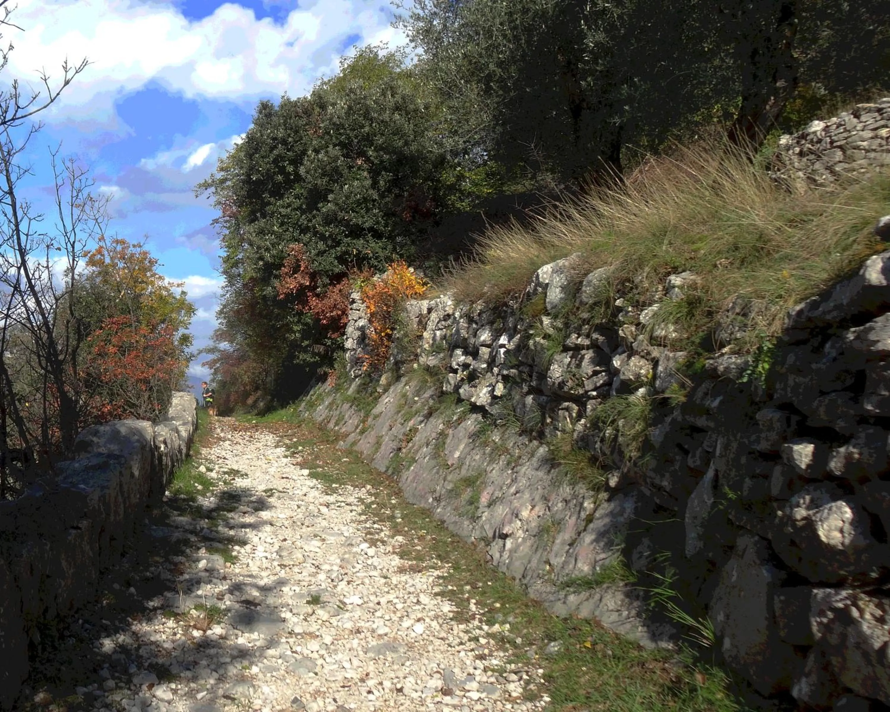 Hiking in Hotel Catullo