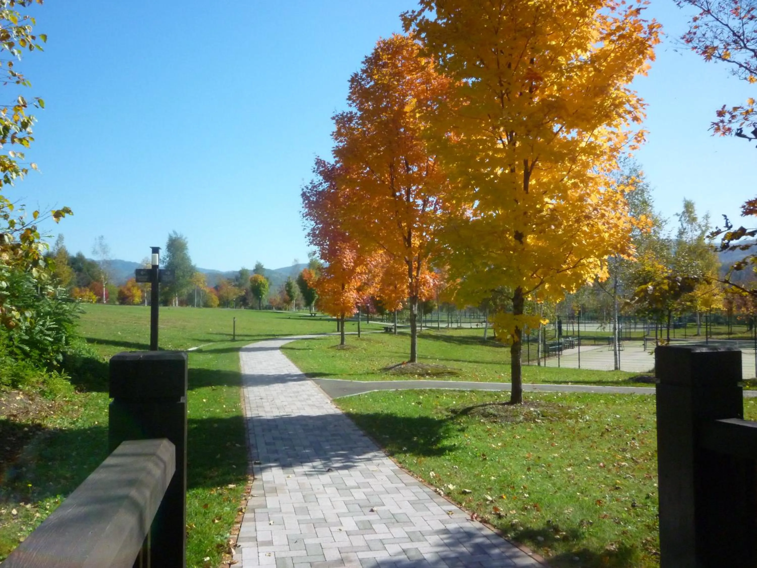 Natural landscape in Log Hotel The Maple Lodge