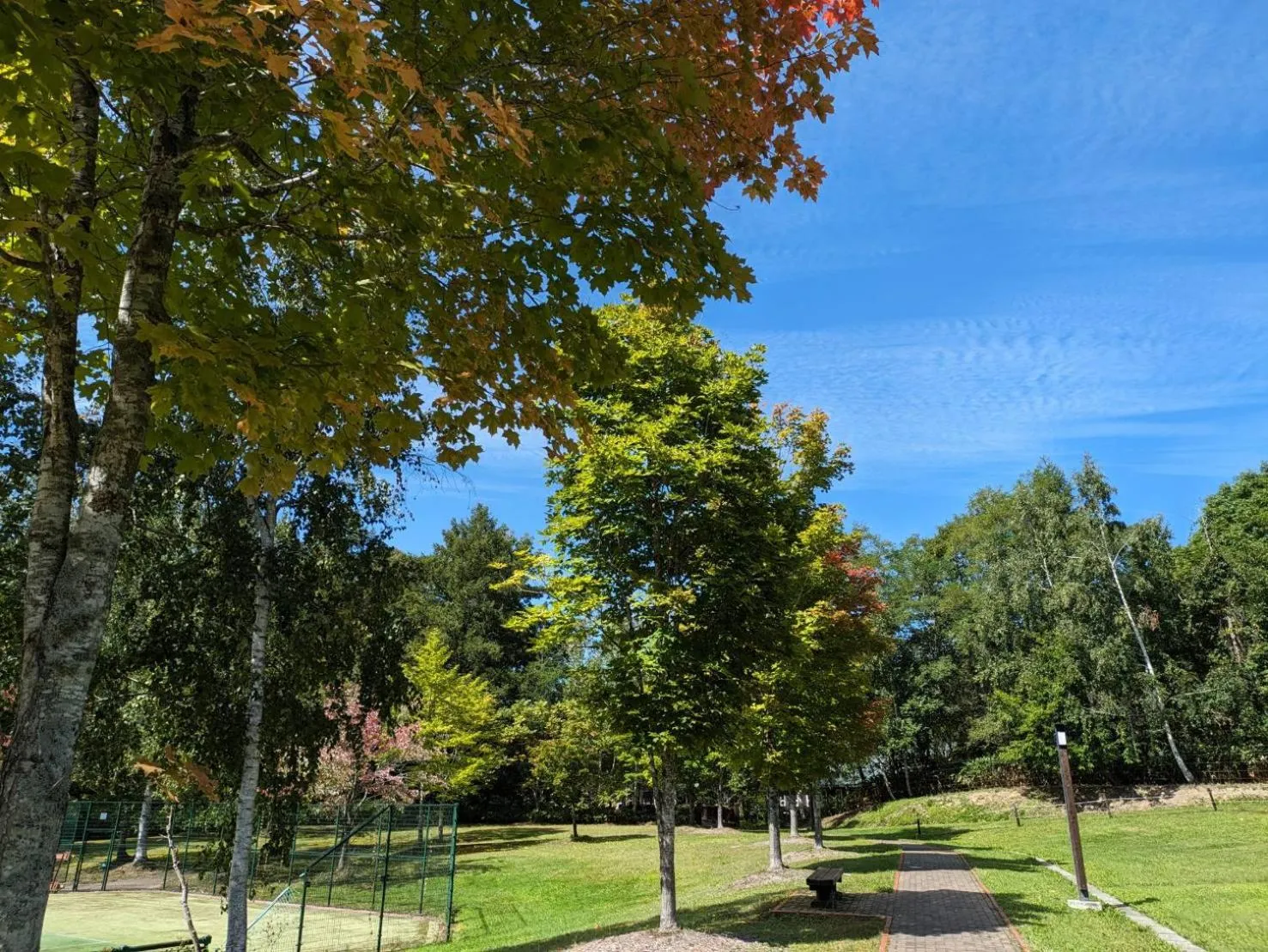 Log Hotel The Maple Lodge