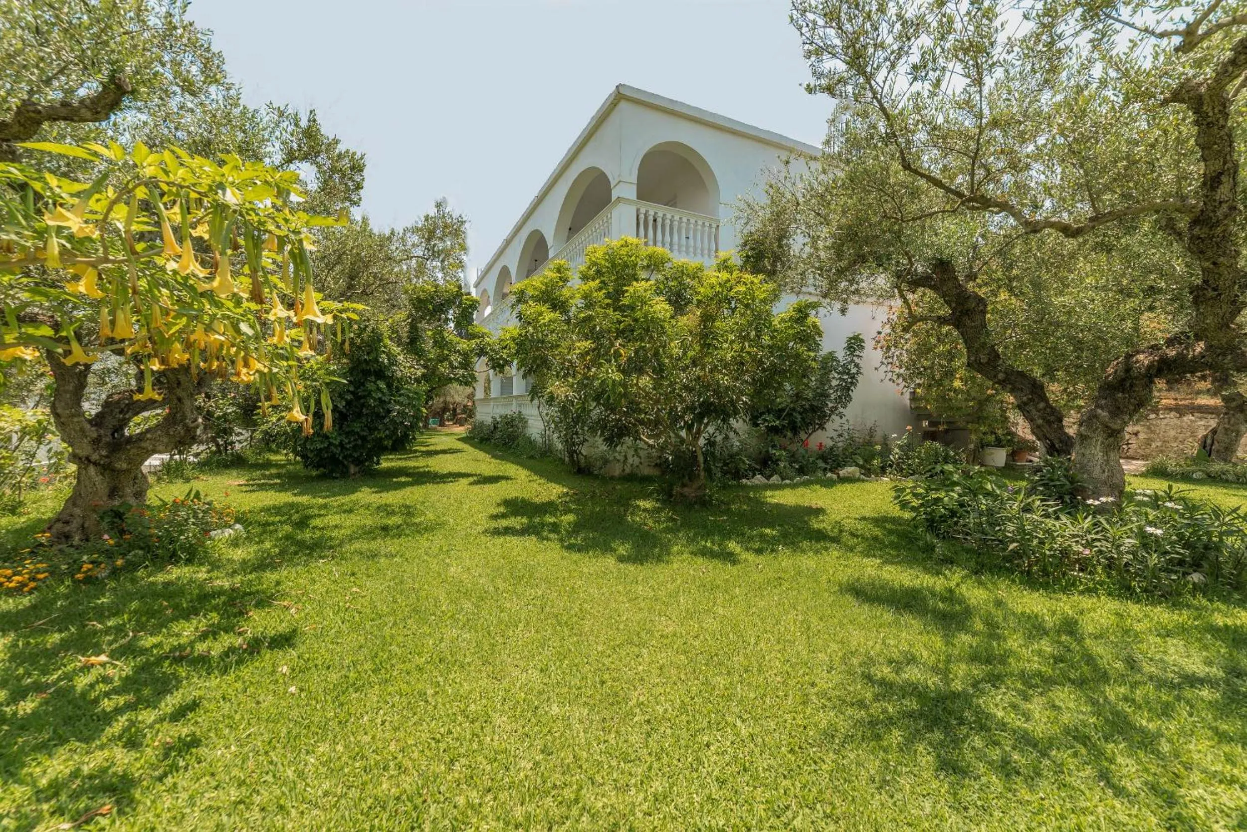 Property building in Ruassi Studios