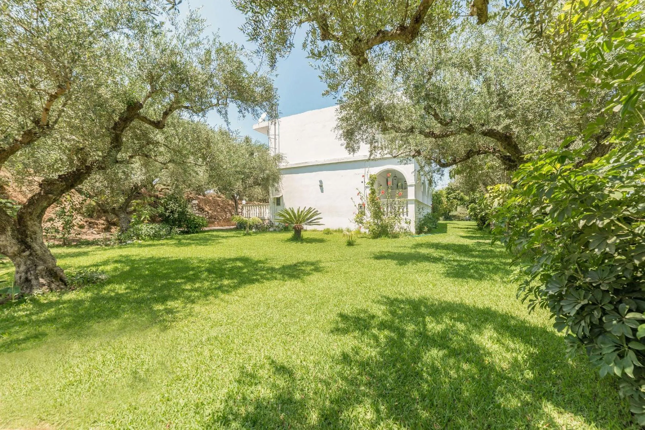 Garden in Ruassi Studios