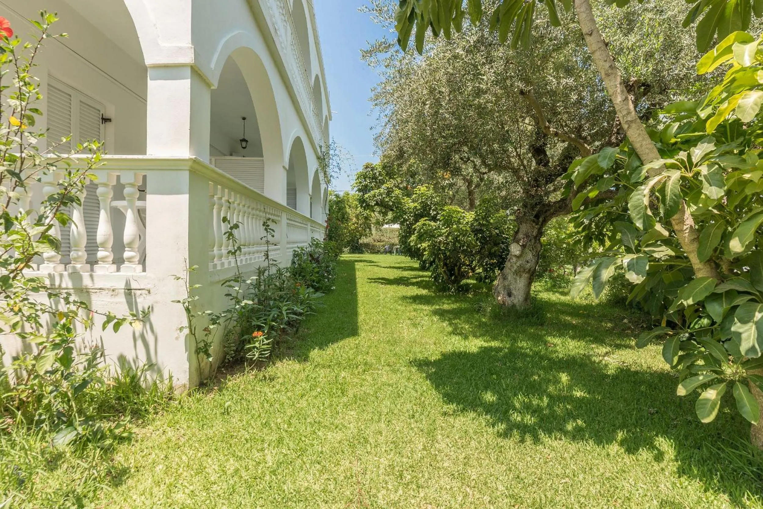 Garden in Ruassi Studios