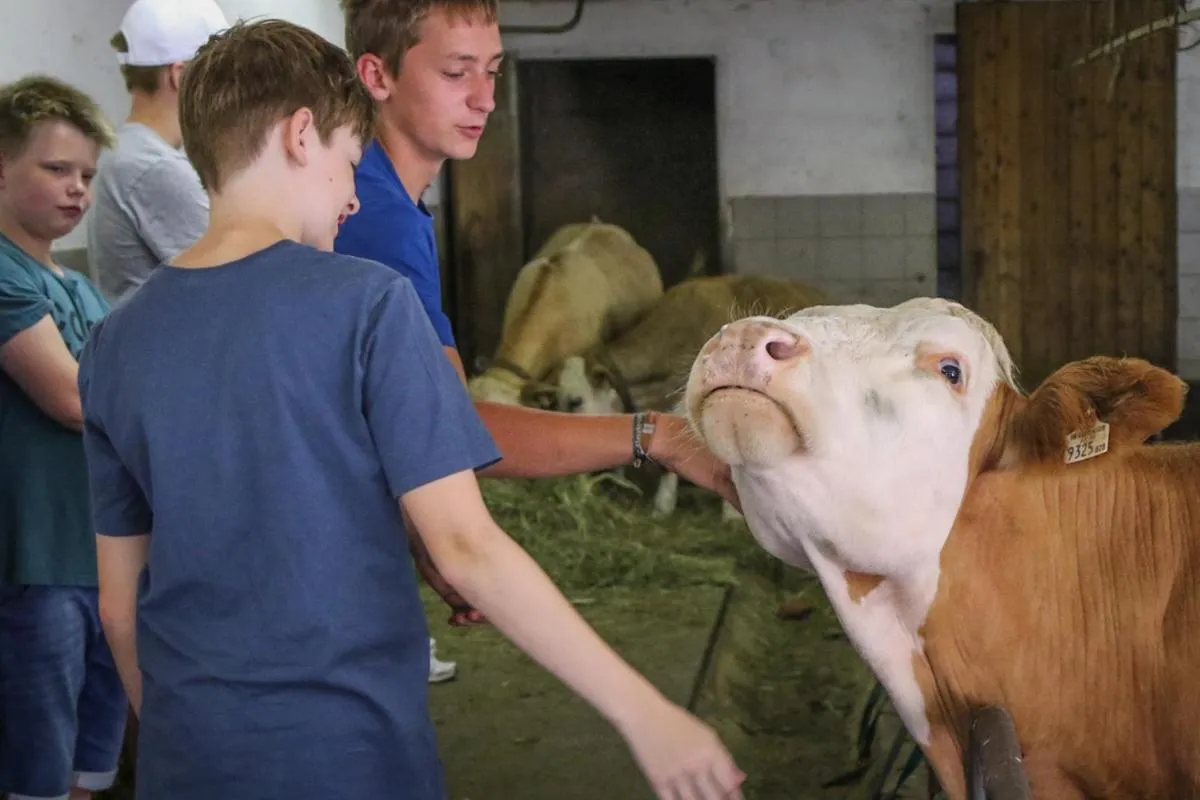 People in Berghotel Lämmerhof