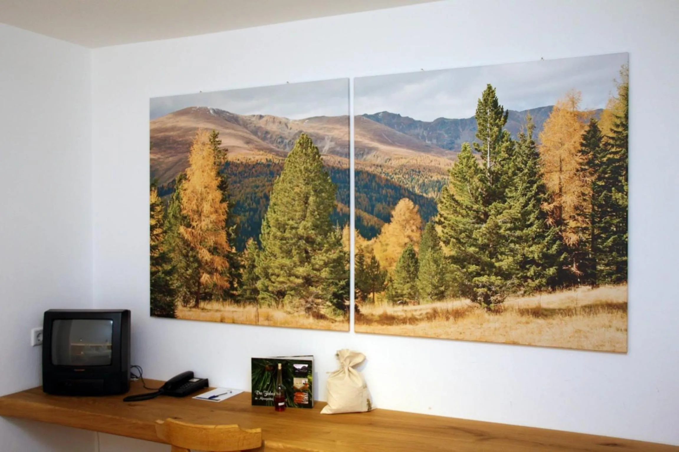 TV and multimedia in Berghotel Lämmerhof