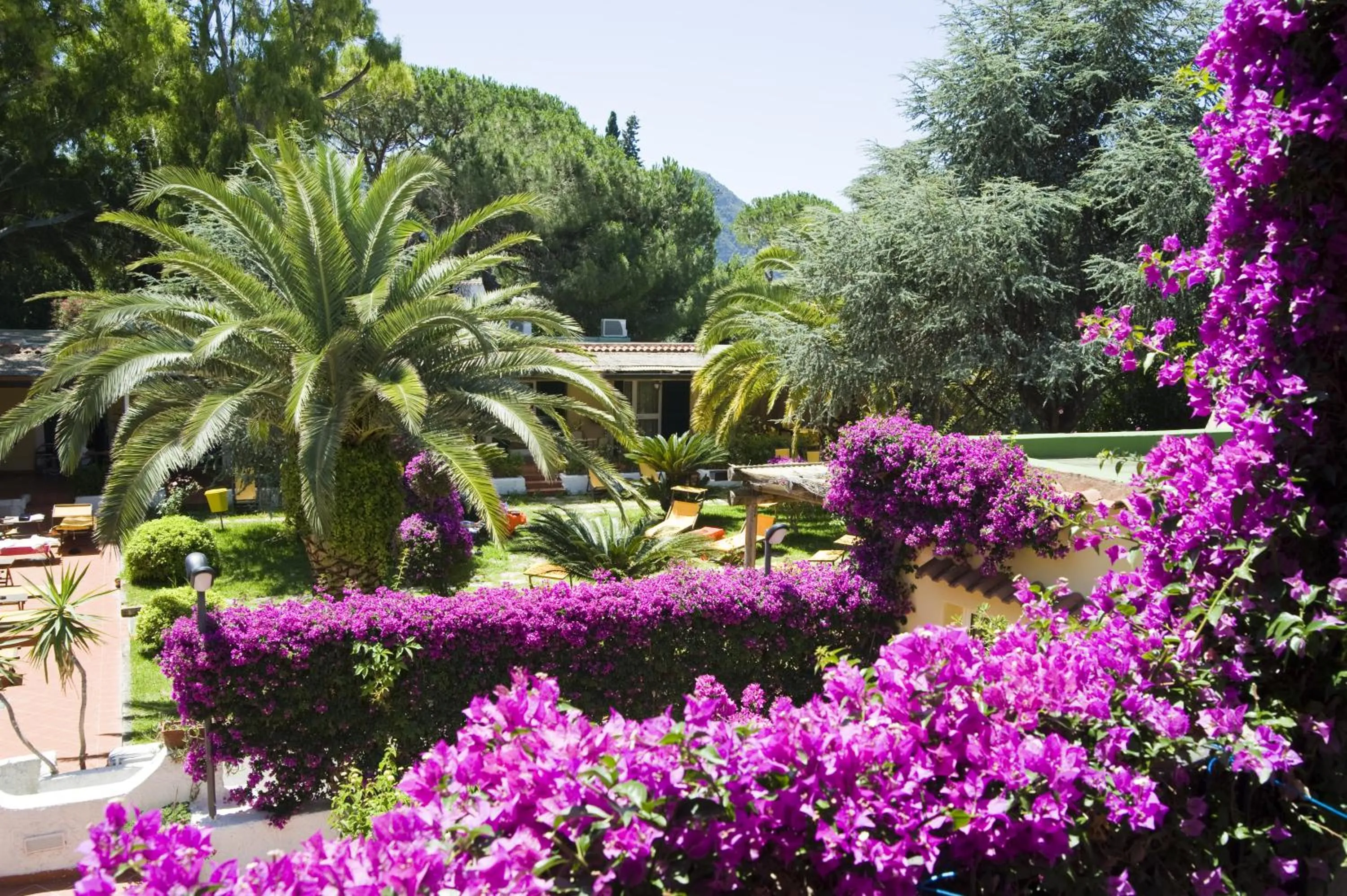 Area and facilities in Villa Angela Hotel & Spa