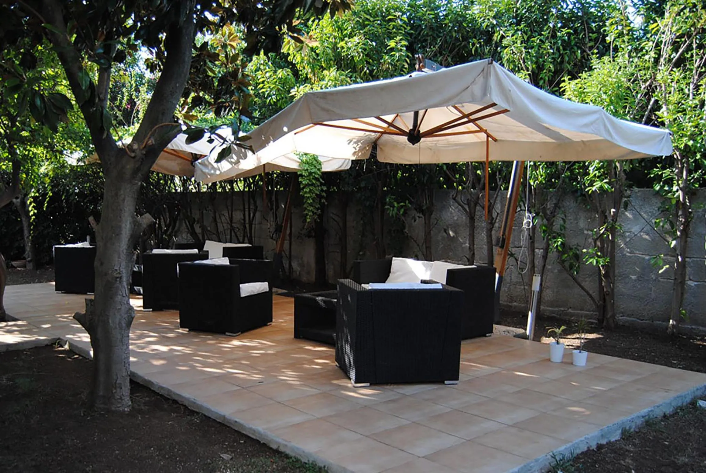 Garden in Villa Del Mar