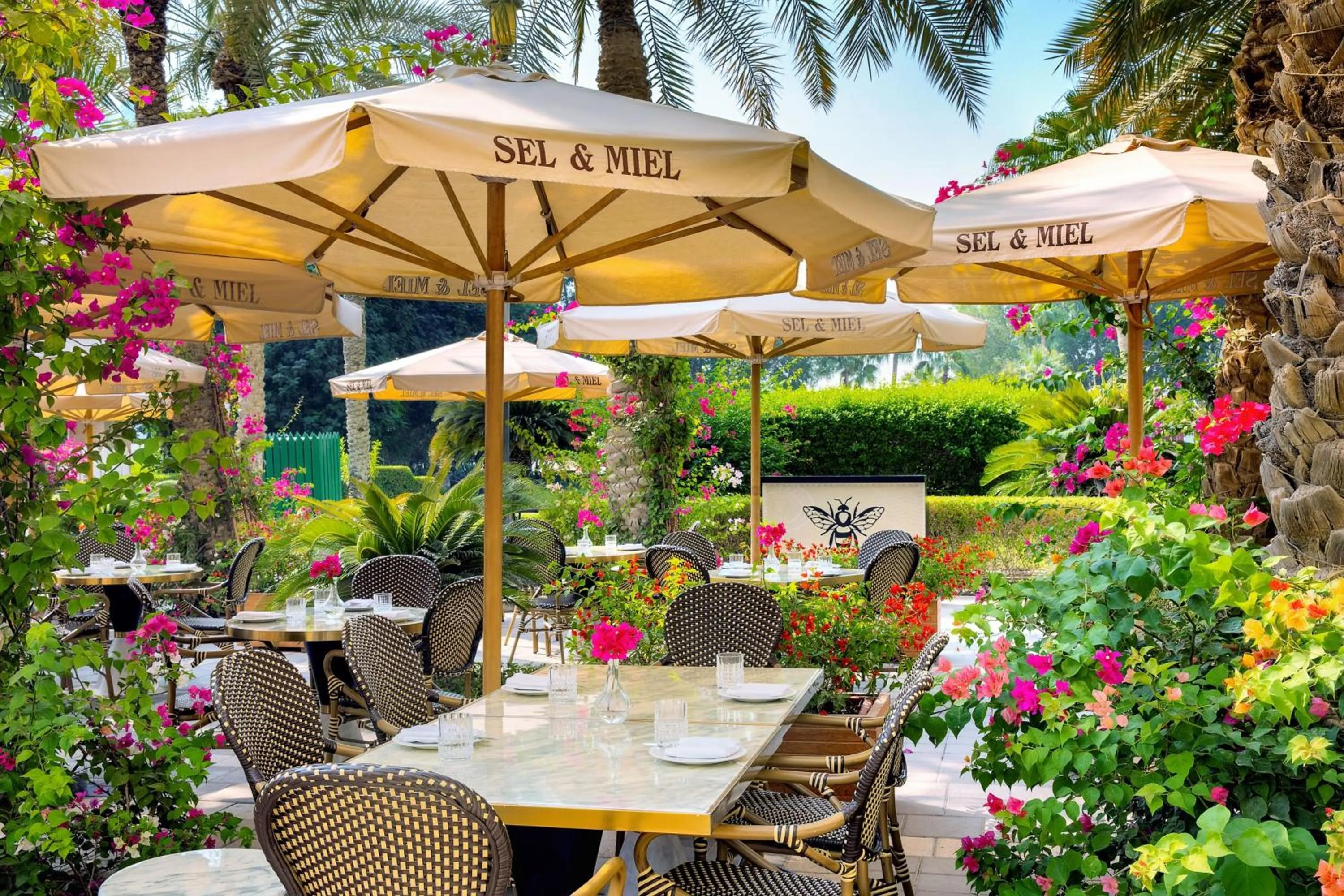 Restaurant/places to eat in The Ritz-Carlton, Doha