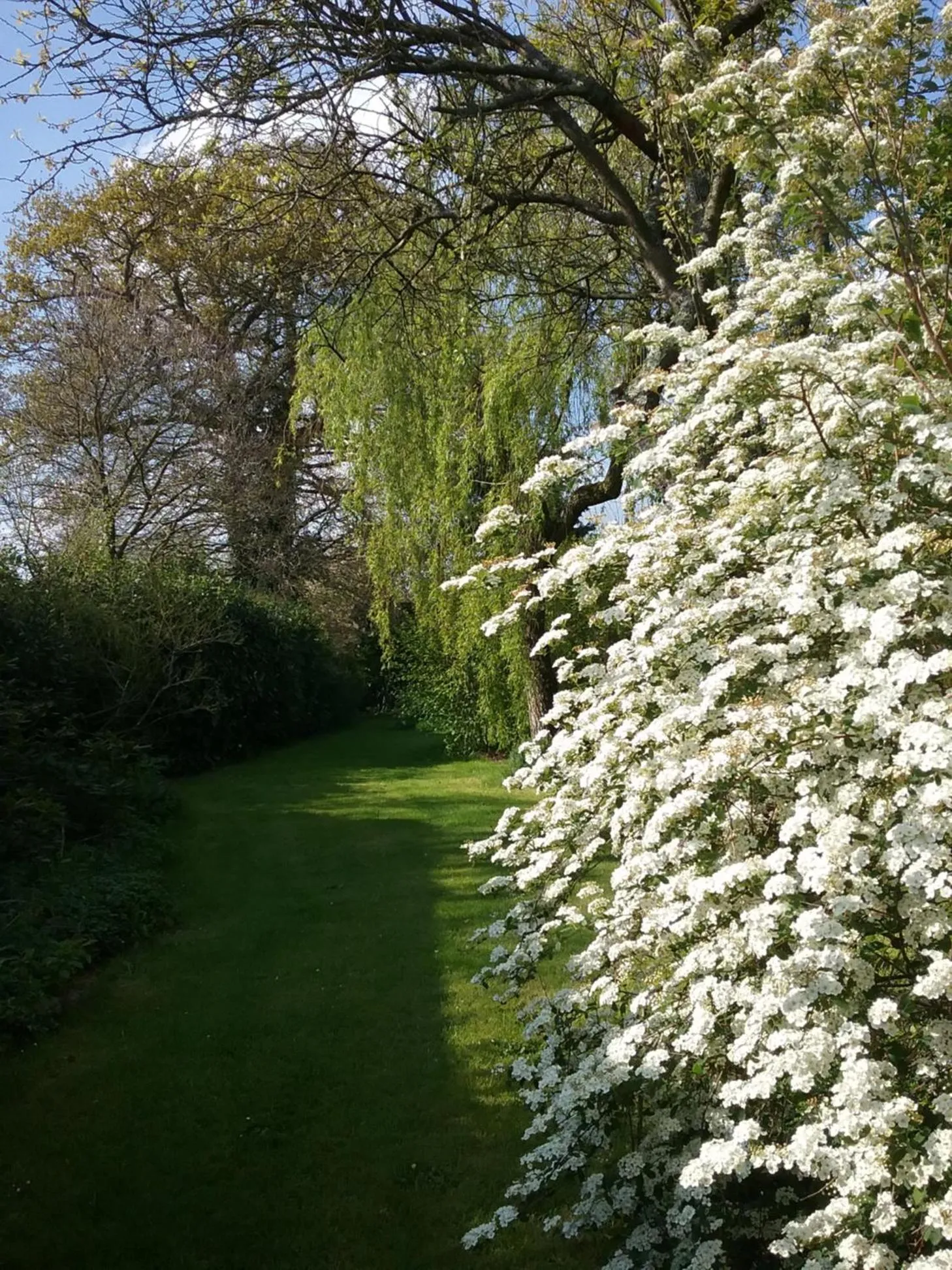Garden in Chambre d'hôte le 18-20