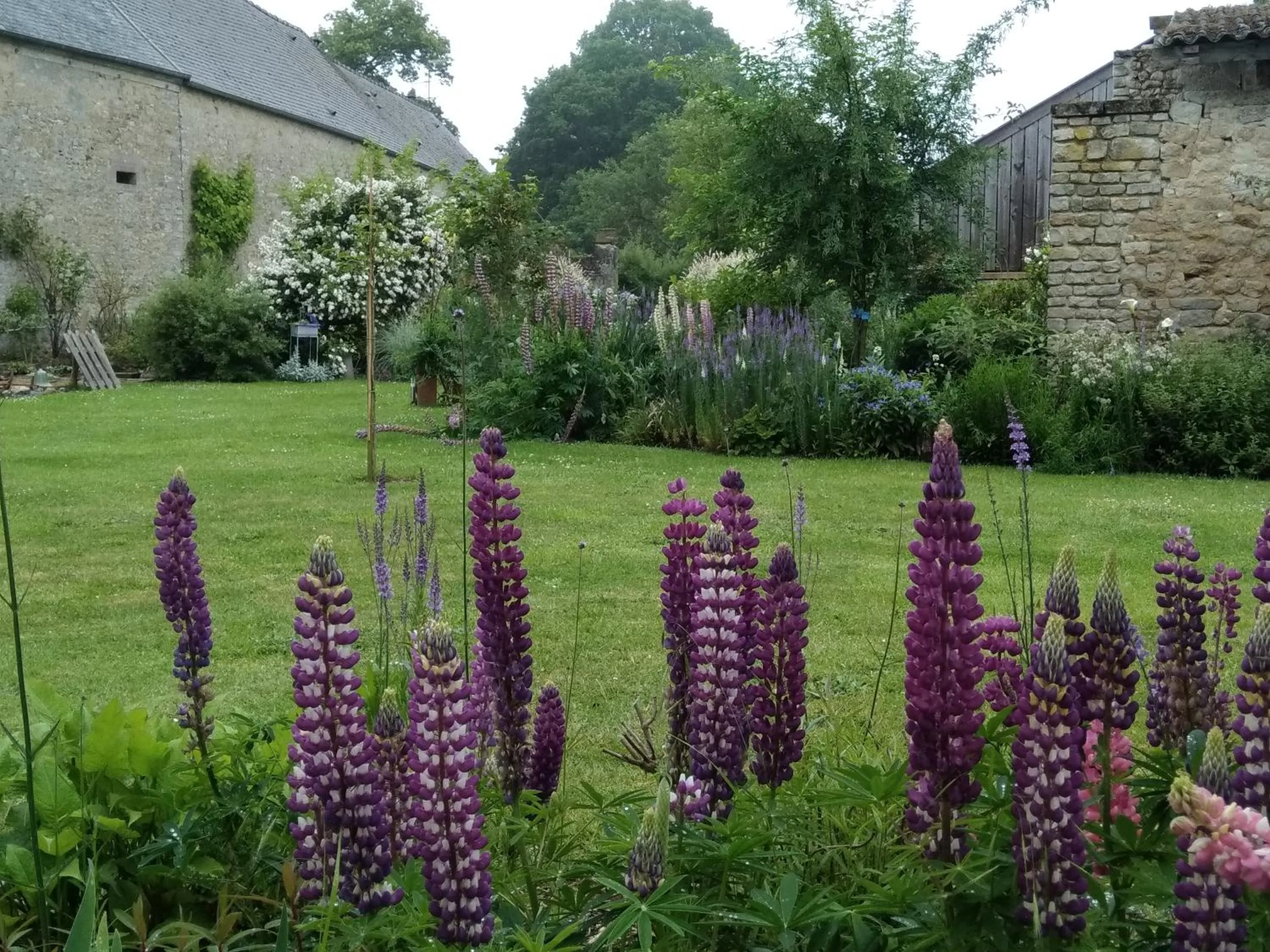 Garden in Chambre d'hôte le 18-20