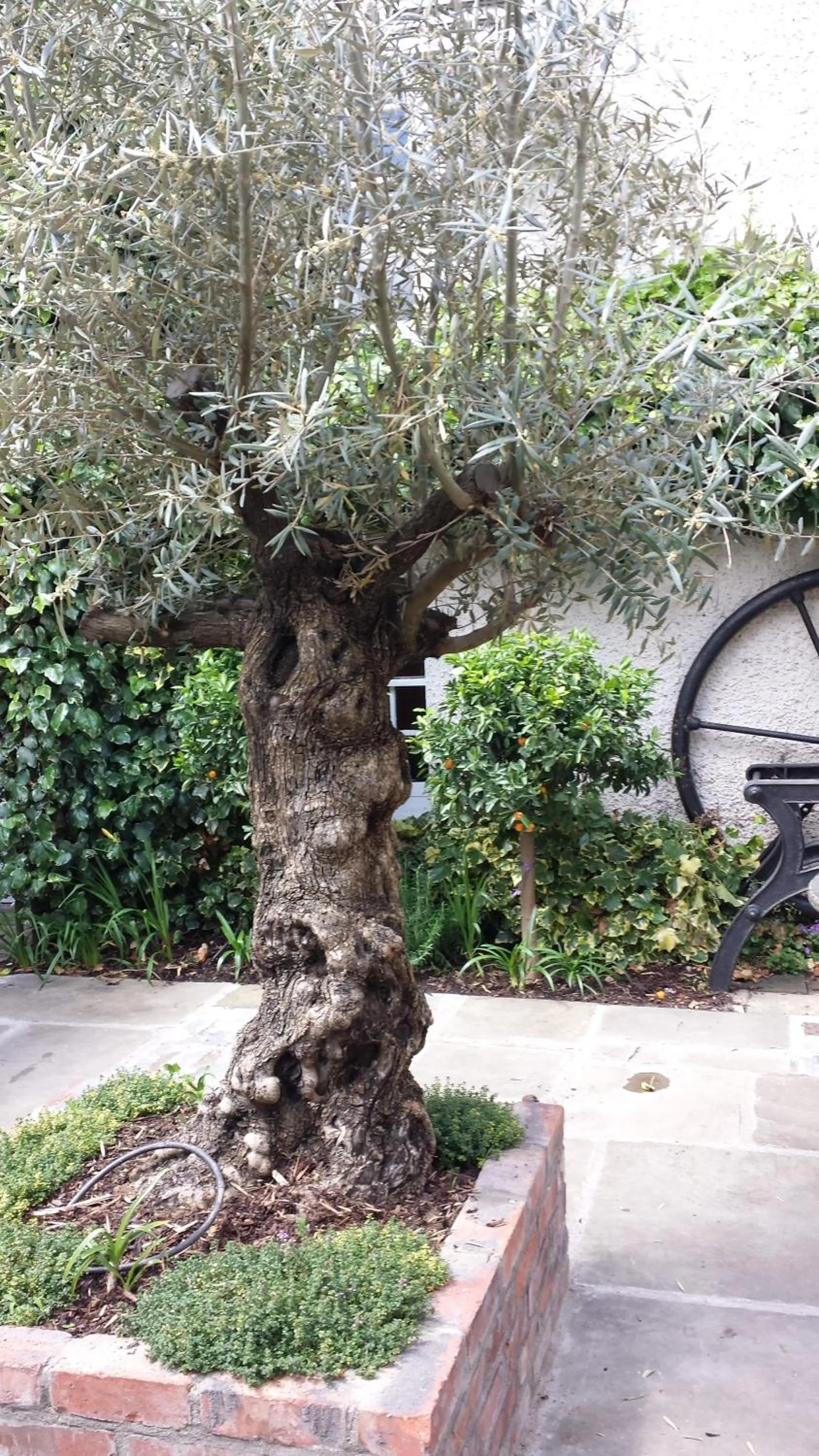 Area and facilities in Raheen House Hotel