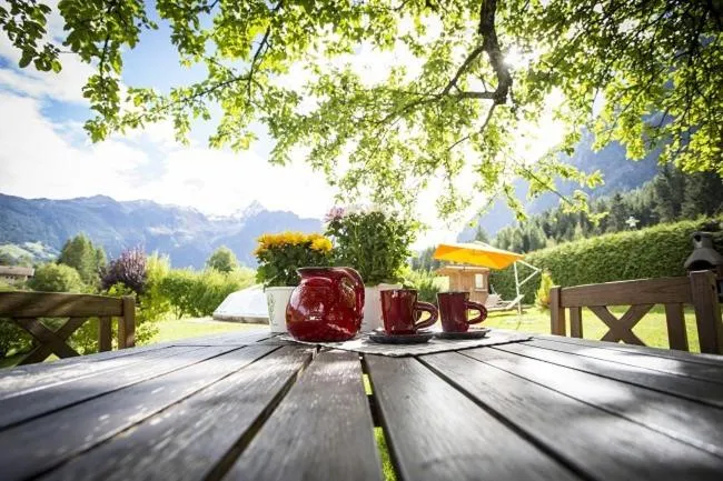 Garden in Ferienhof Haderlehn