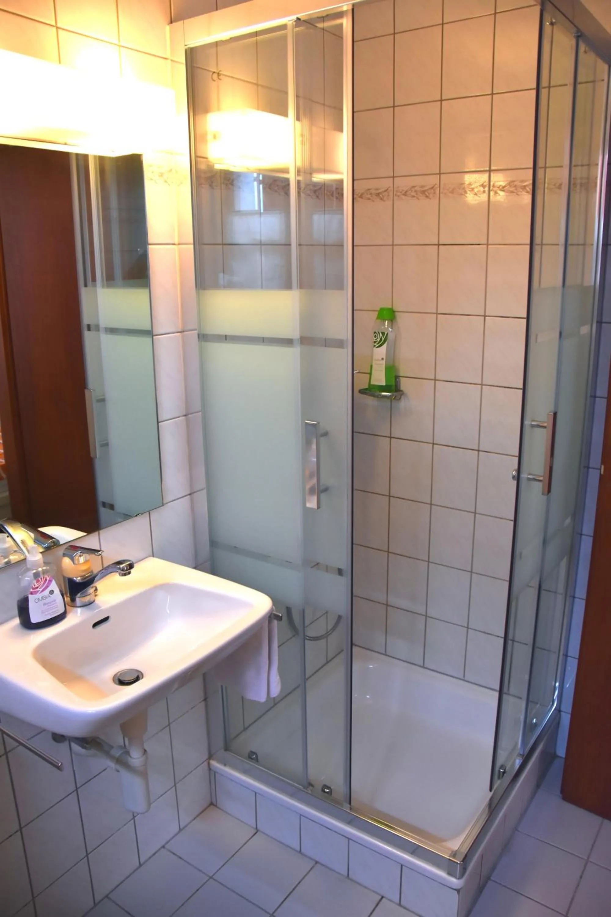 Decorative detail in Hôtel de l'ours