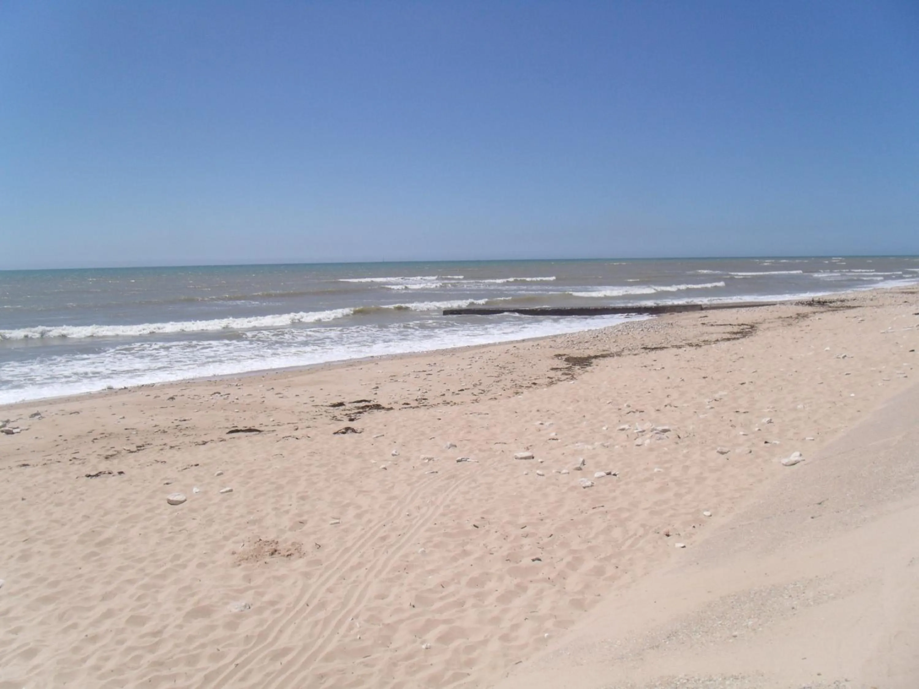 Off site in Les Bois Flottés en Ré