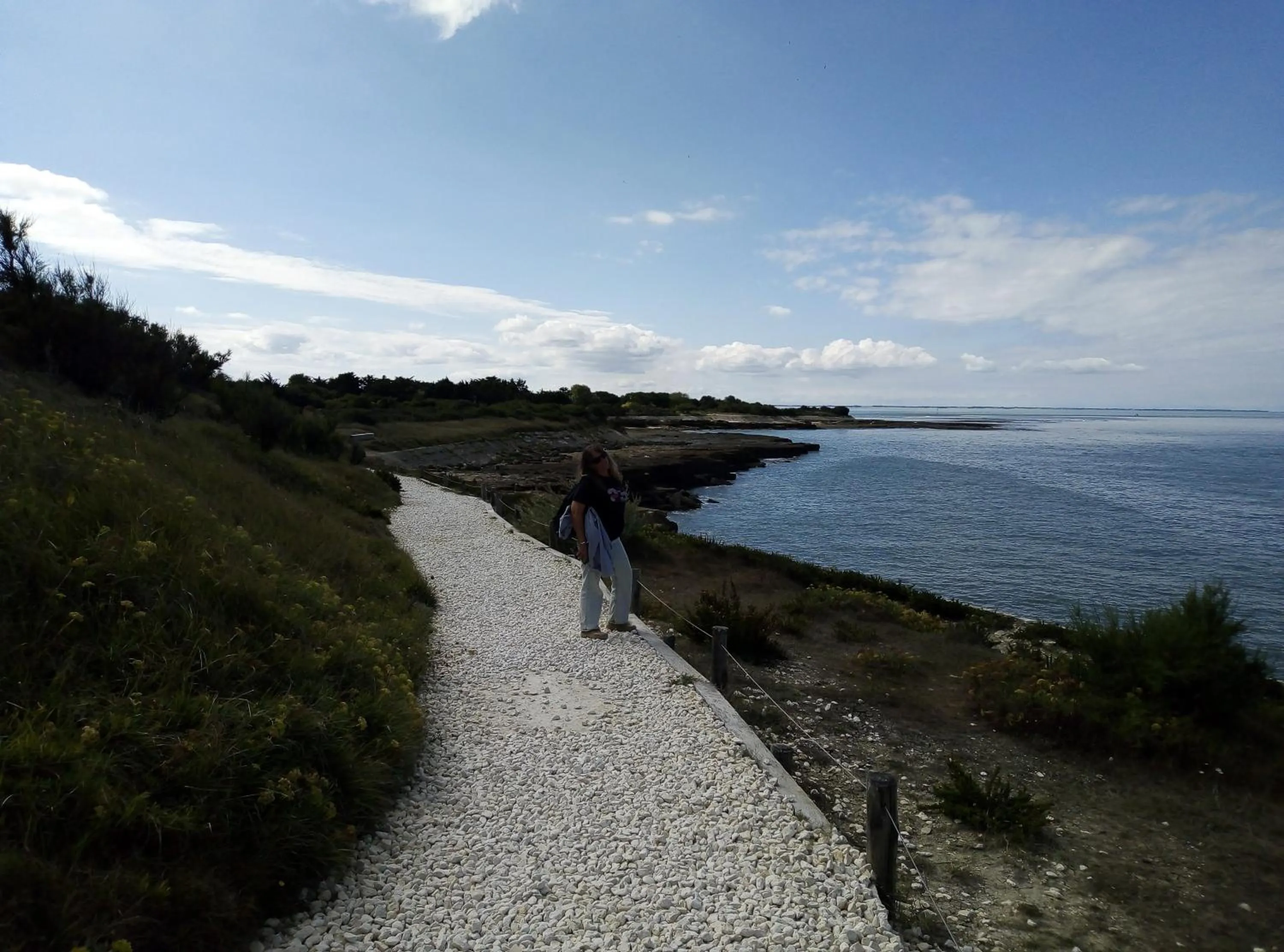 Natural landscape in Les Bois Flottés en Ré