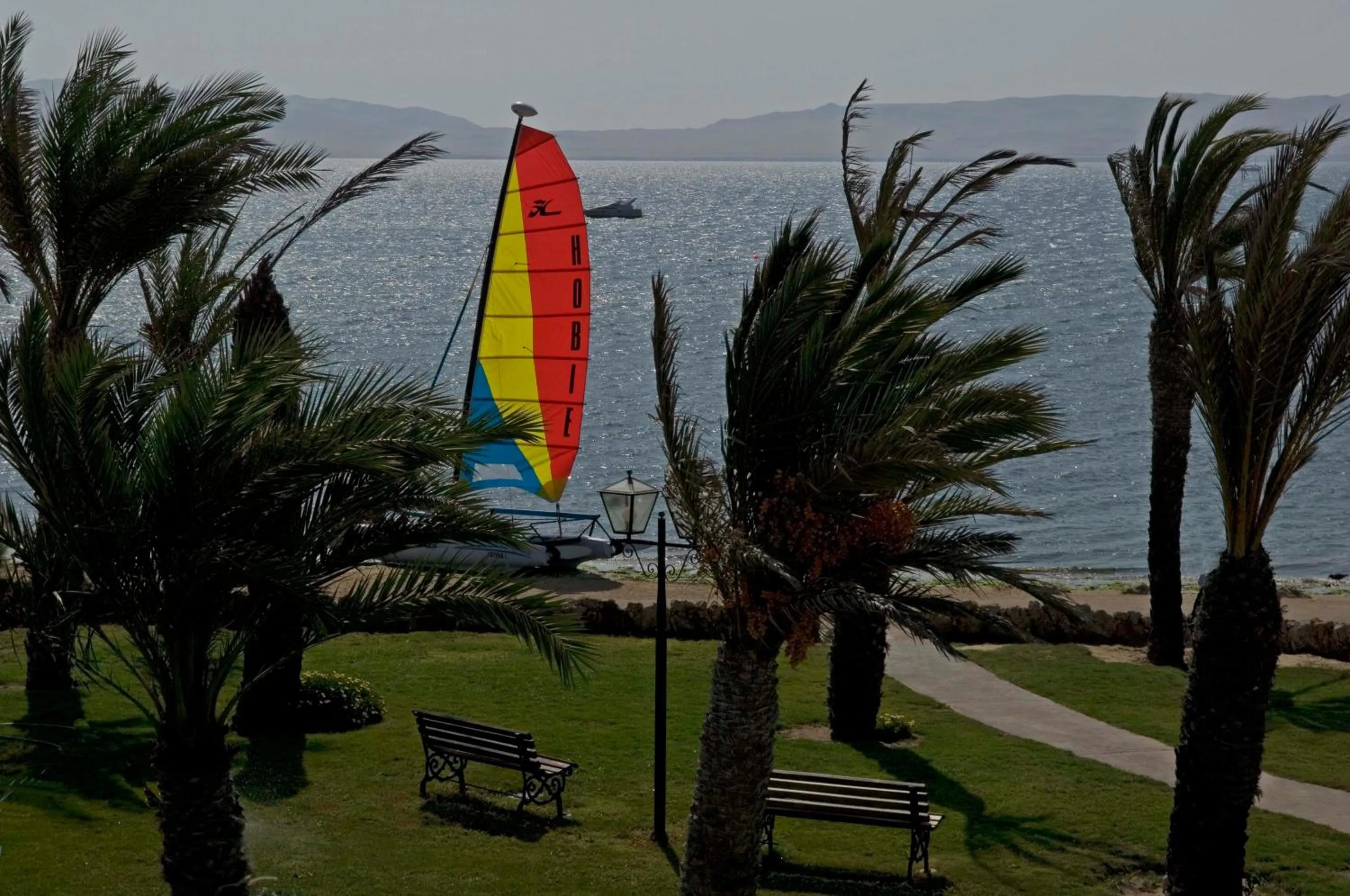 Garden in La Hacienda Bahia Paracas
