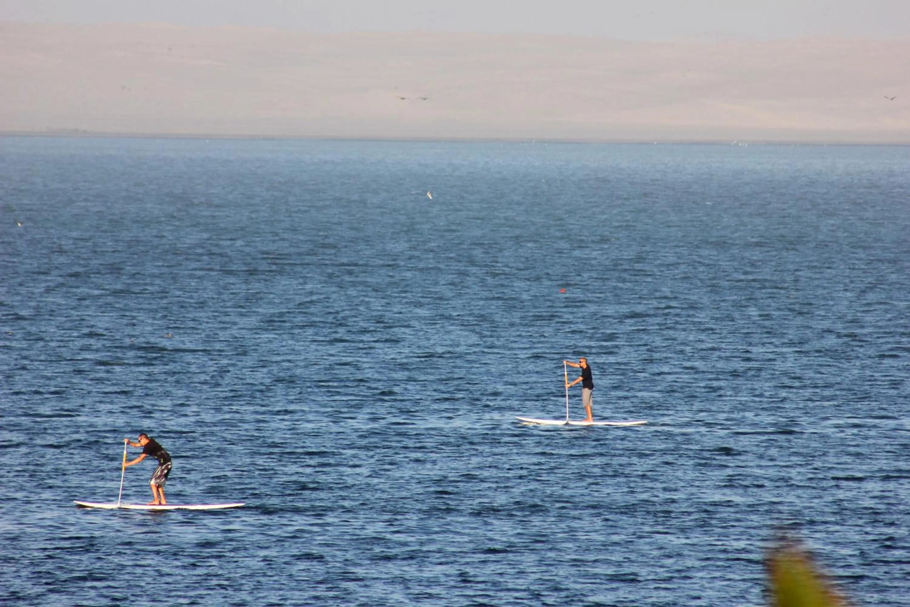 Sports in La Hacienda Bahia Paracas