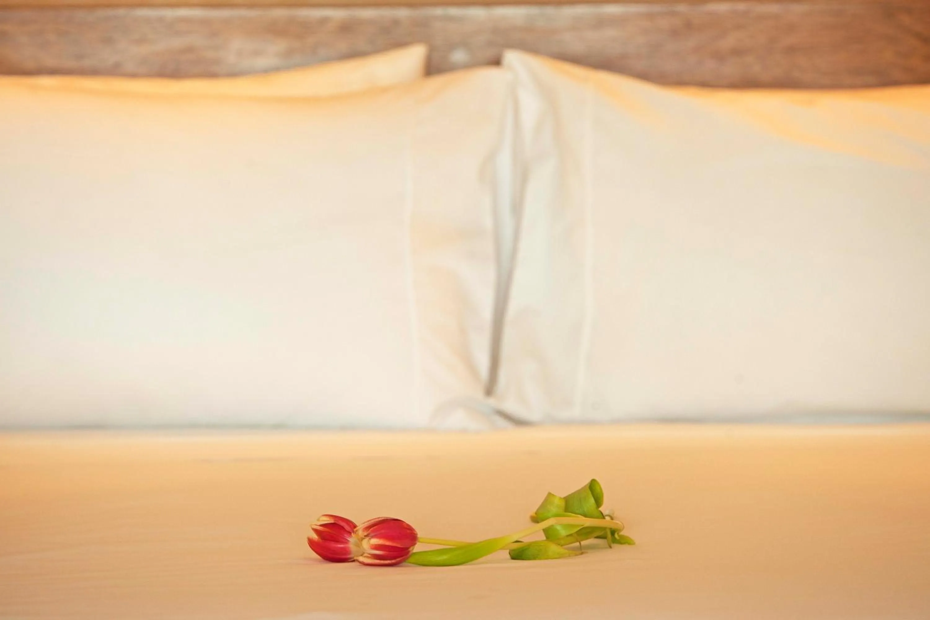 Bed in La Hacienda Bahia Paracas