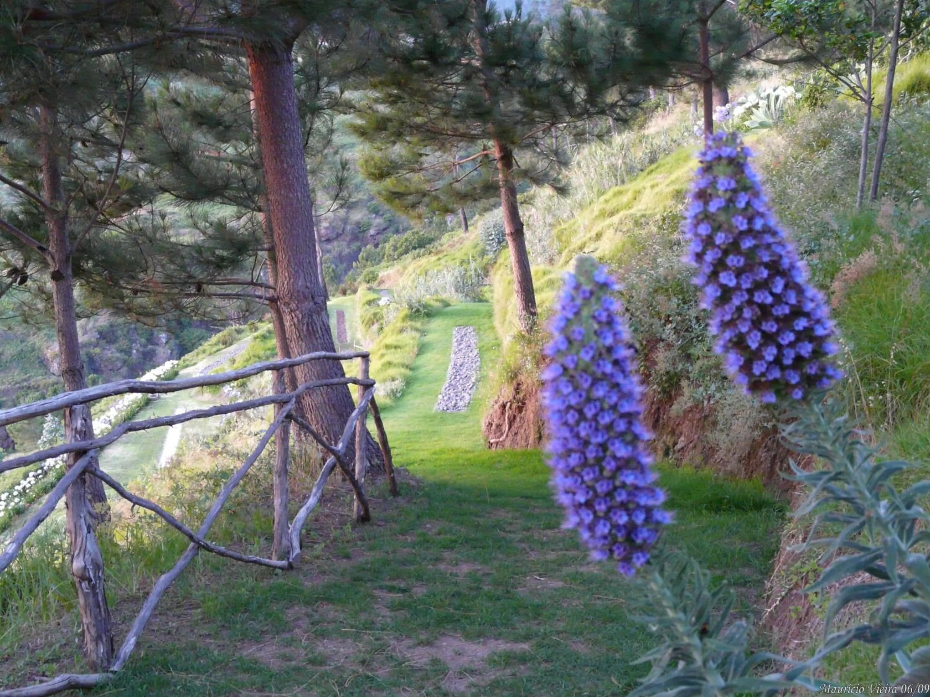 Spa and wellness centre/facilities in Hotel Jardim Atlantico